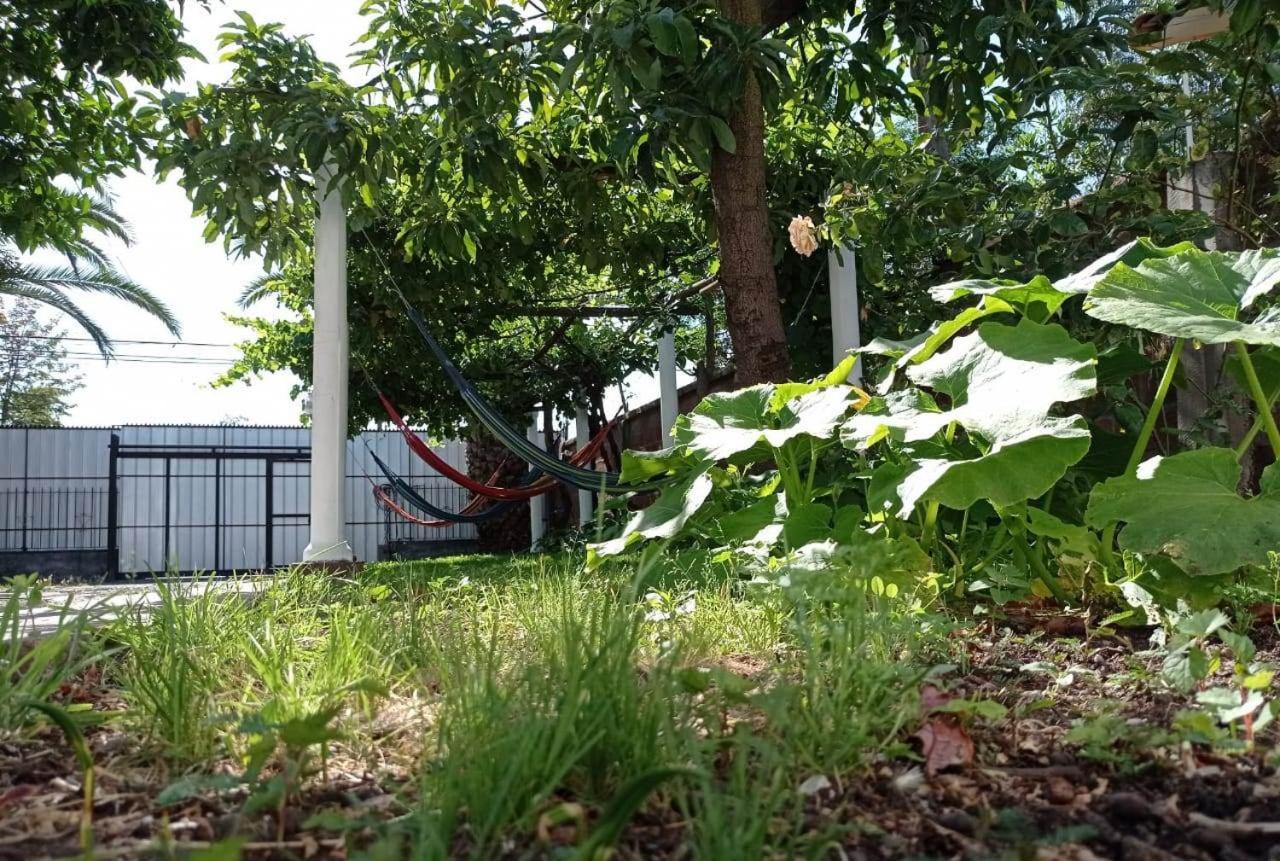 Hospedaje curicó casa grande