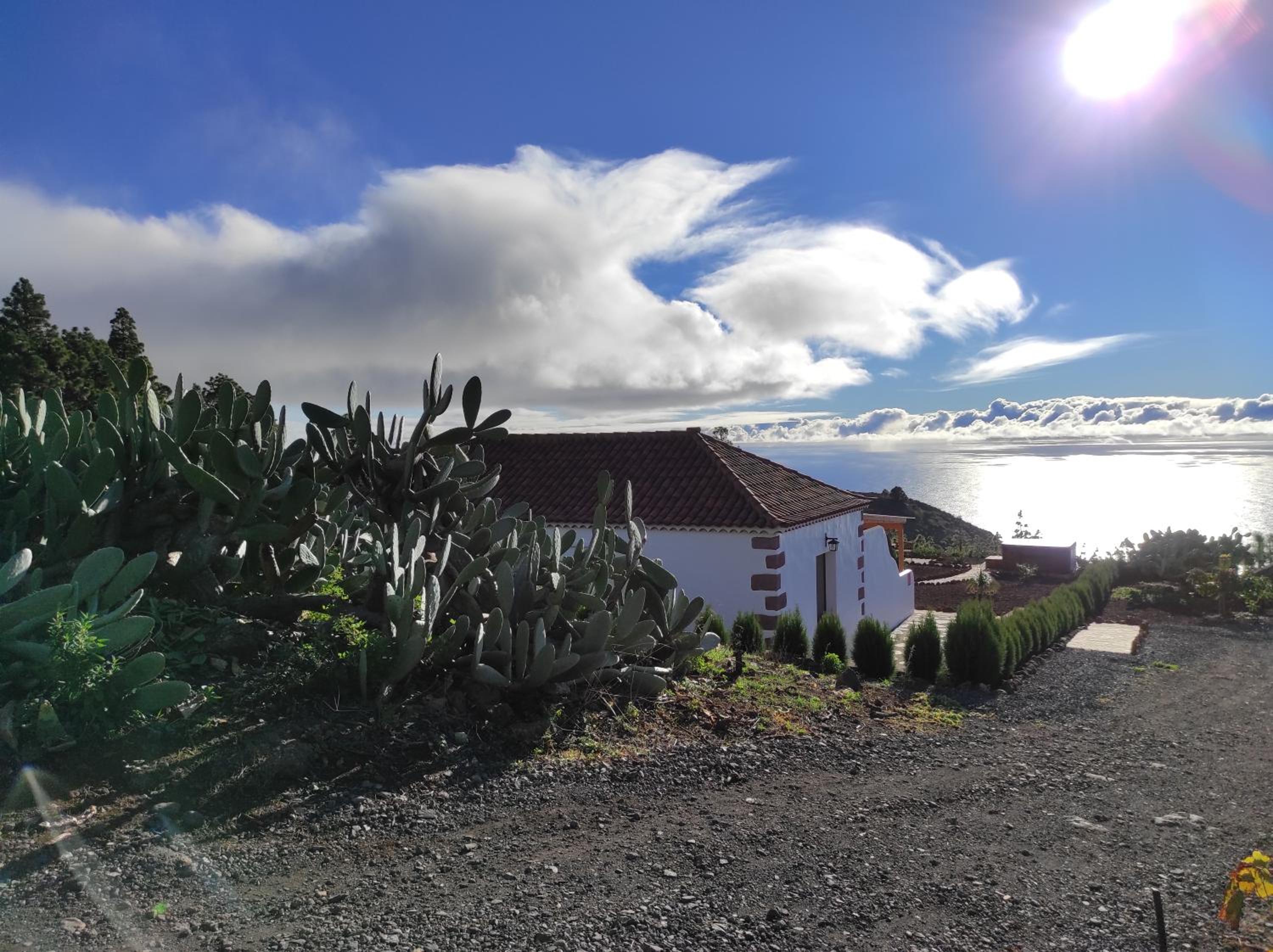 Casa Los Almendros Jacuzzi Garden view 3