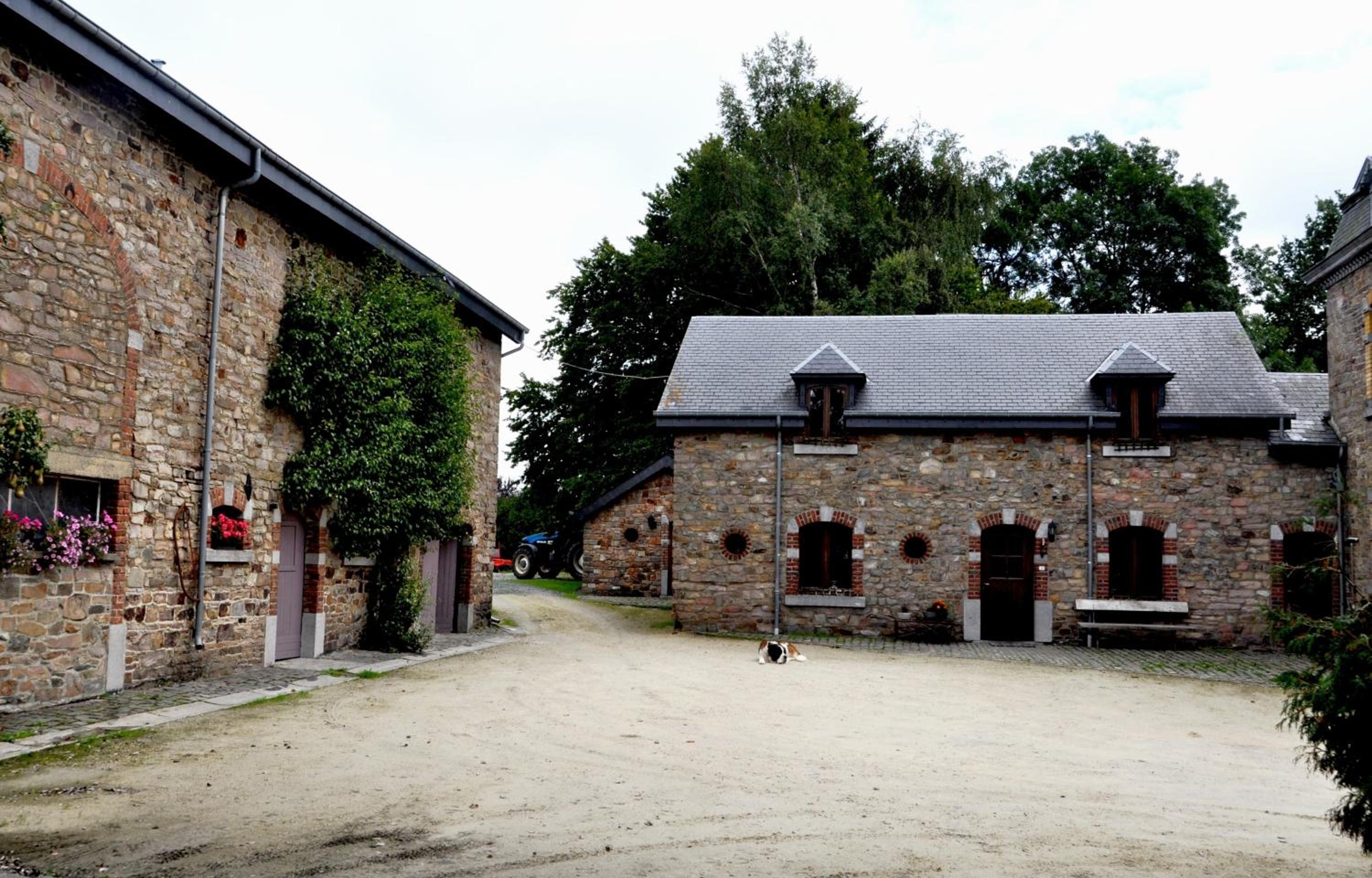 Gîte Ferme d'Ortie