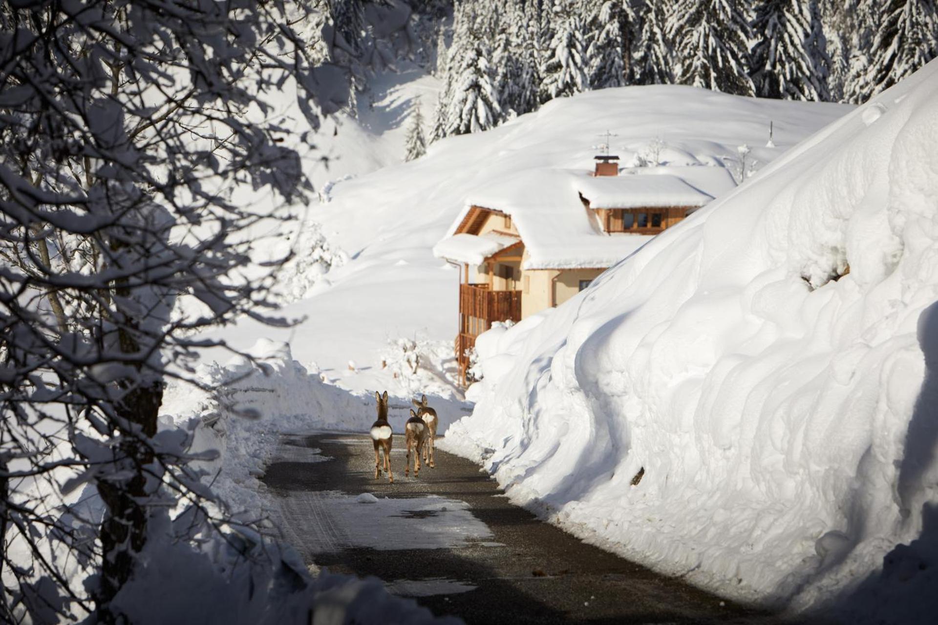 Sotciastel Exclusive Chalet in Alta Badia view 2