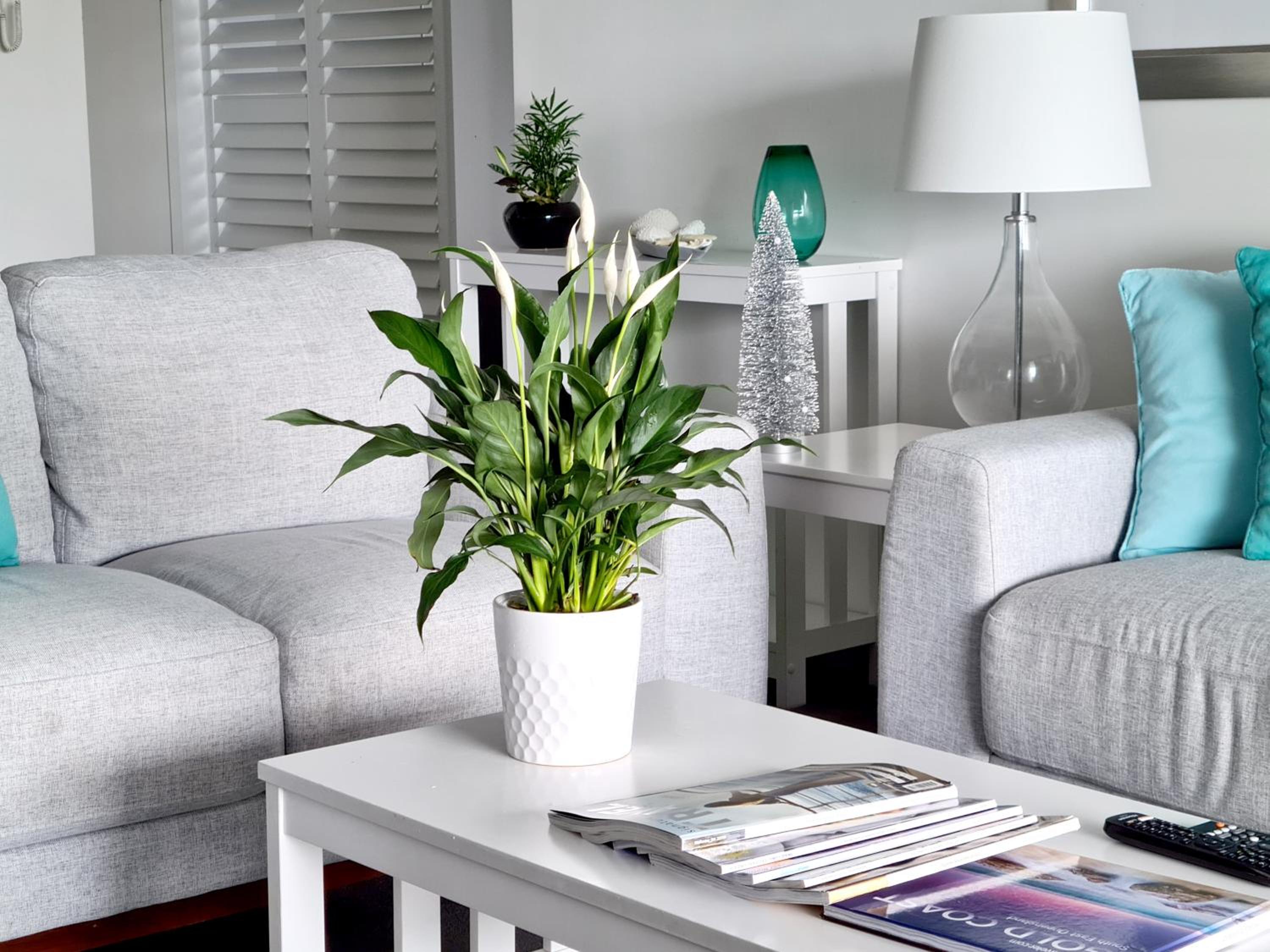 Sealuxe Suites - Central Surfers Paradise