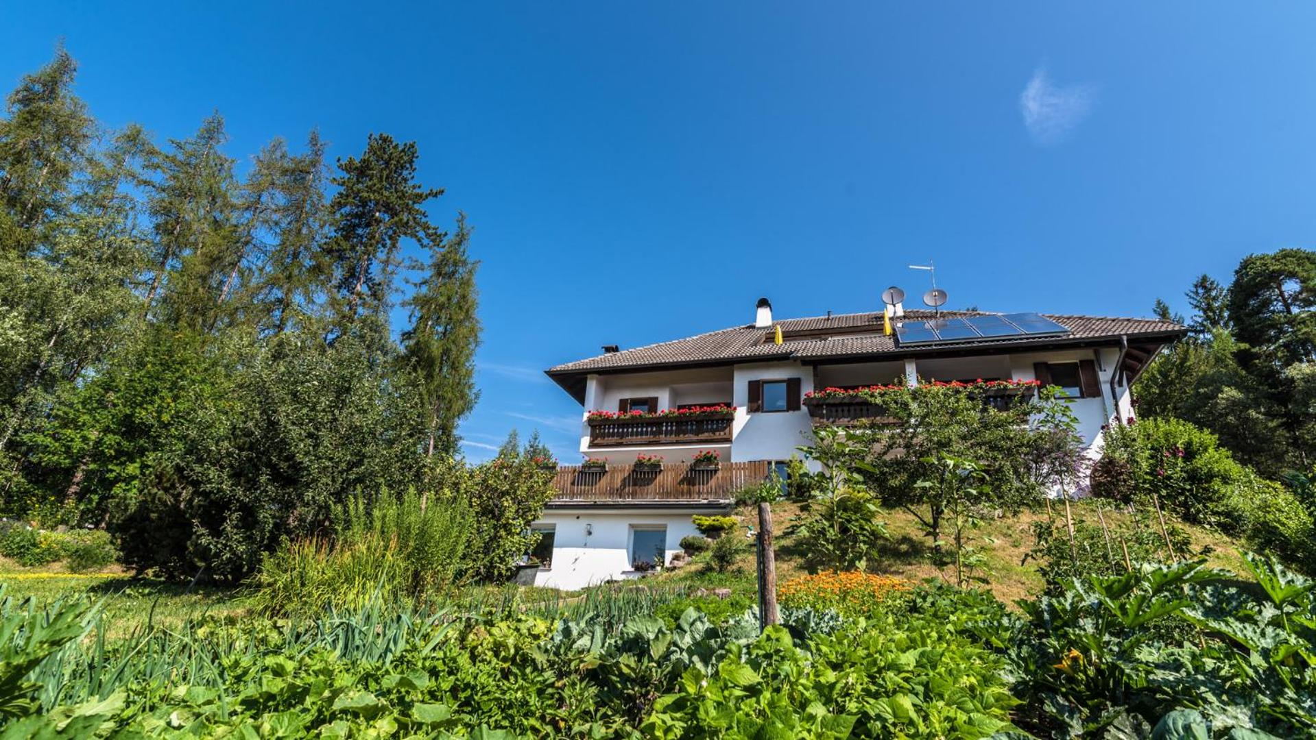 Photo 41