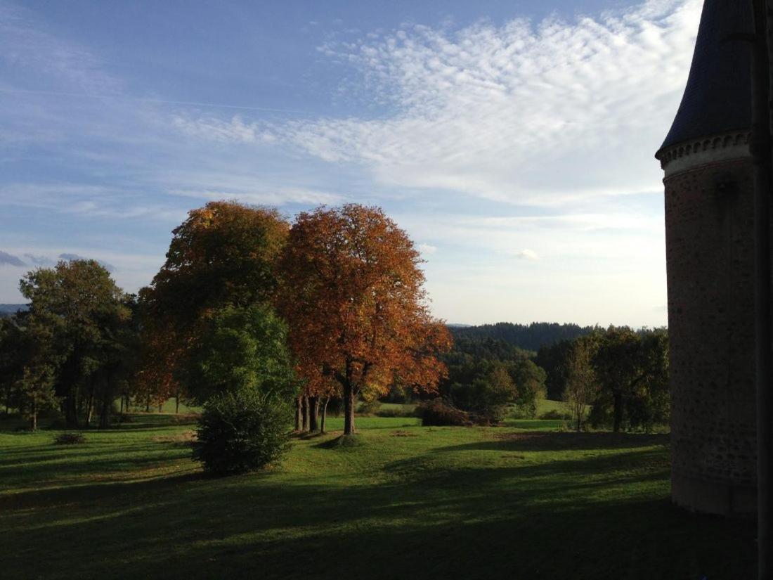 Château de la Forie view 5