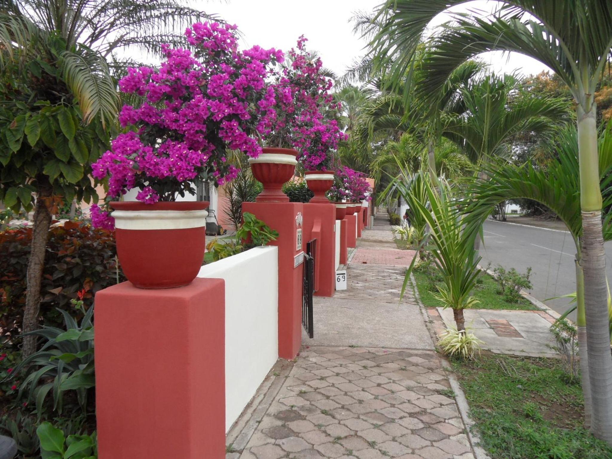 Riviera Nayarit Vacations - Casa Virgilios BB - Property Image 11