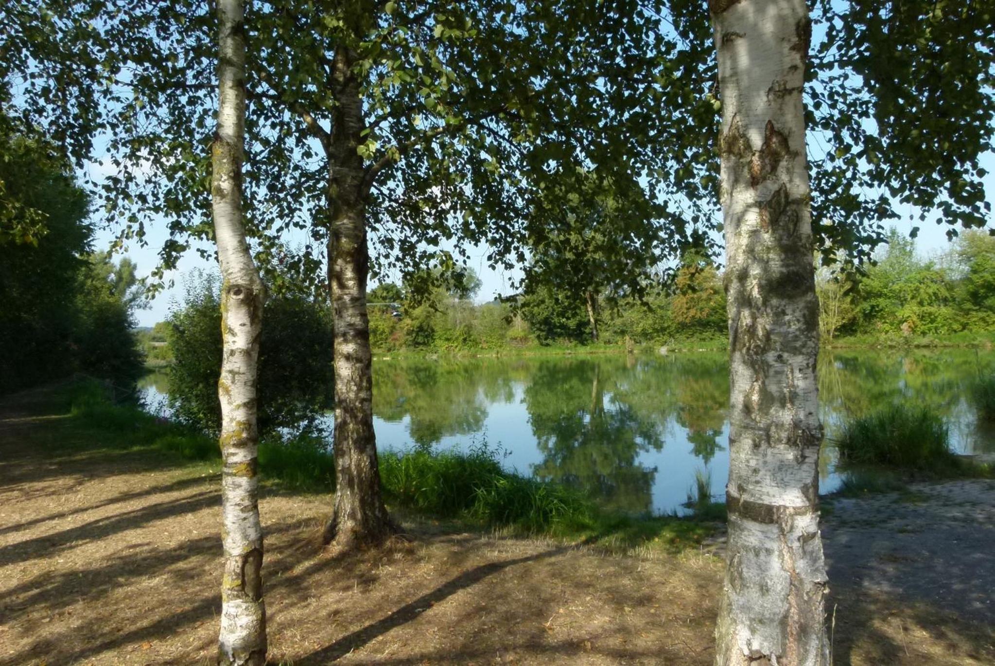 Photo 31