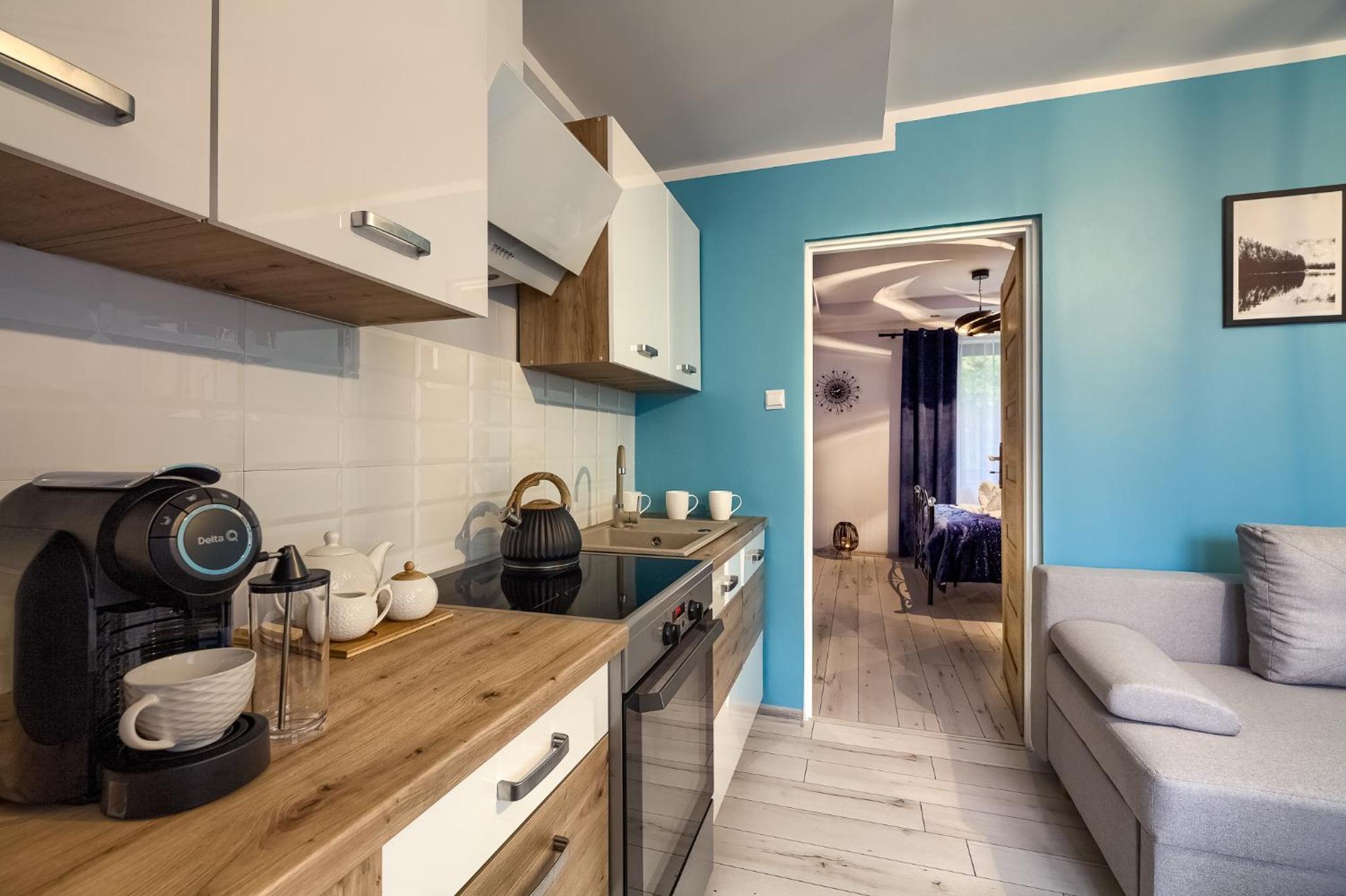 Apartamenty u Romana view 4