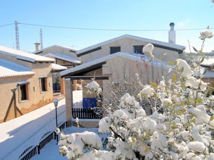 Photo 23