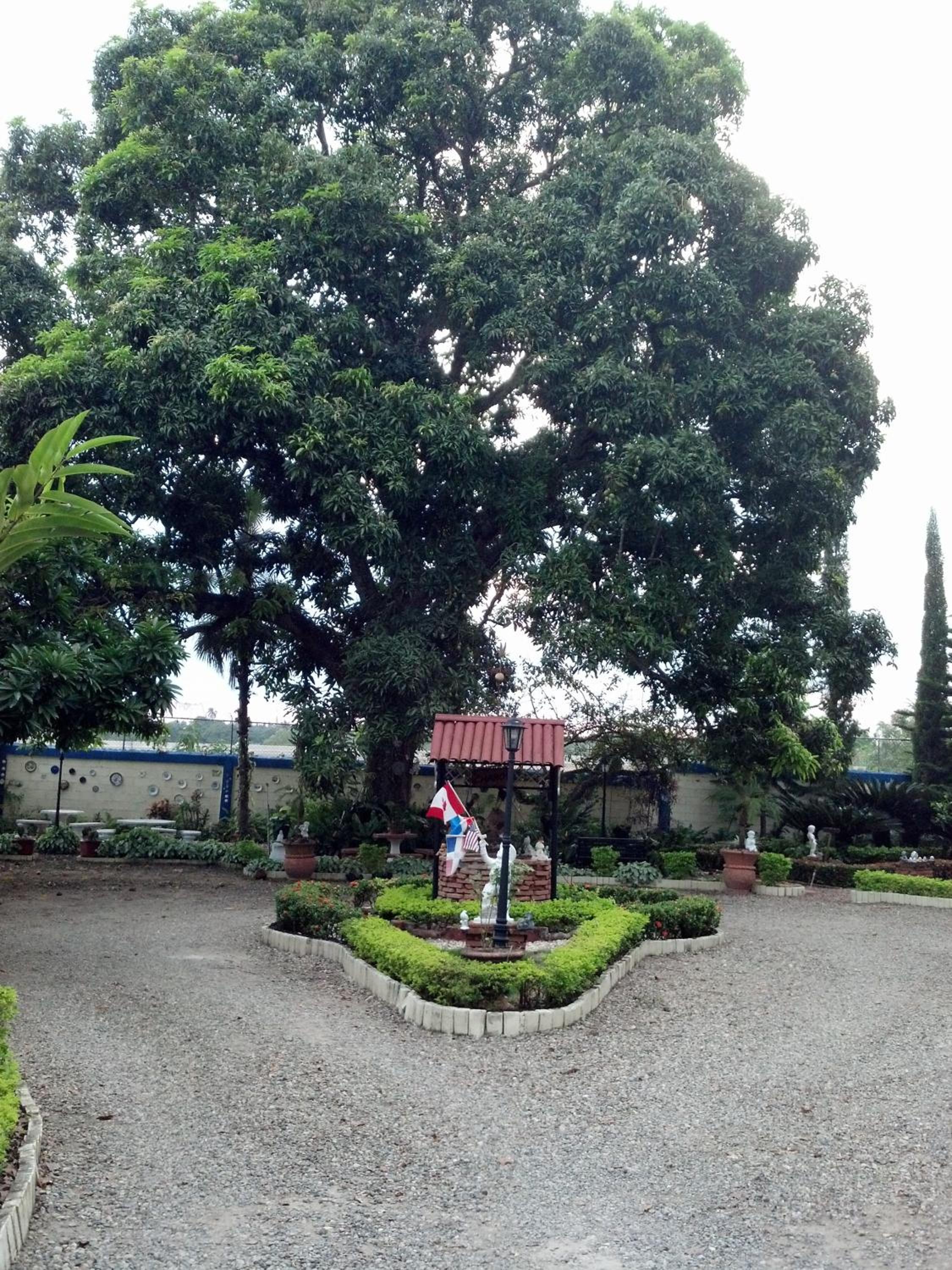 Sana El Jardin Secreto