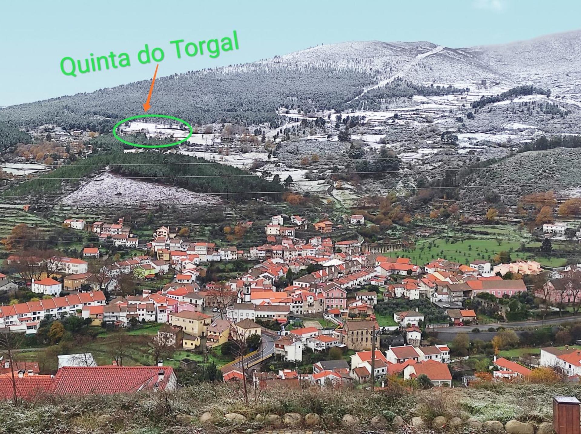 Quinta do Torgal - Alojamento Local