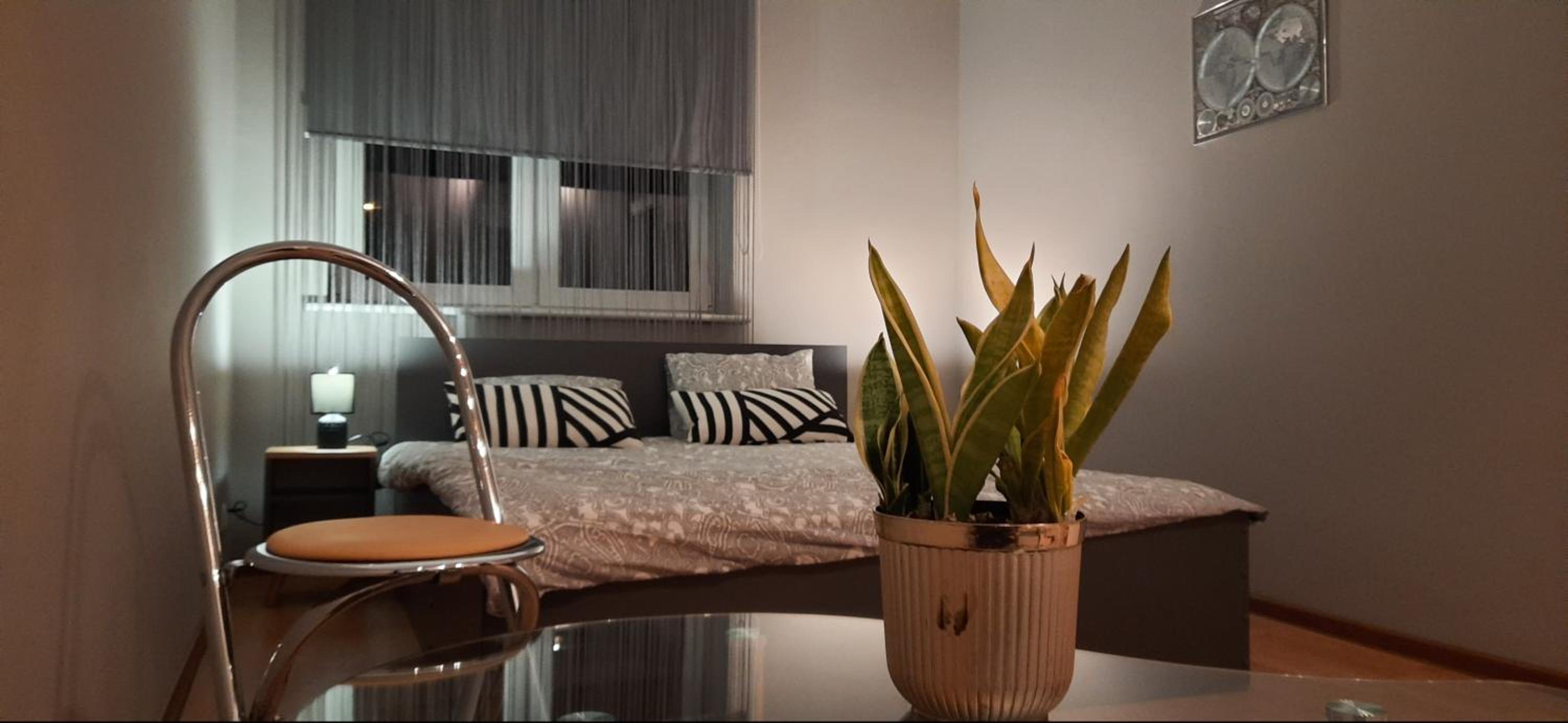 Apartament komfortowy Levino, photo 8