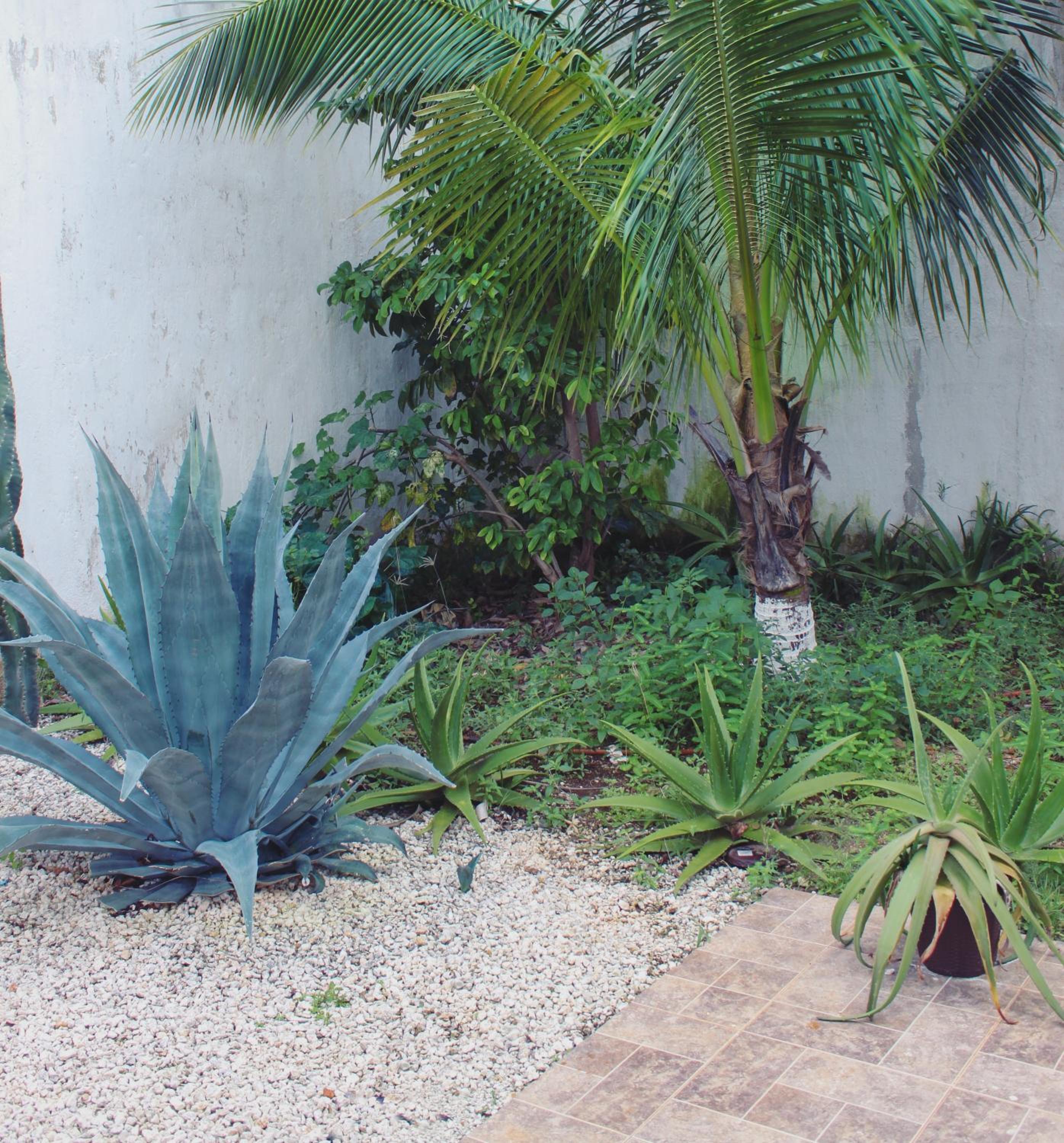Rooms in Cancun Airport