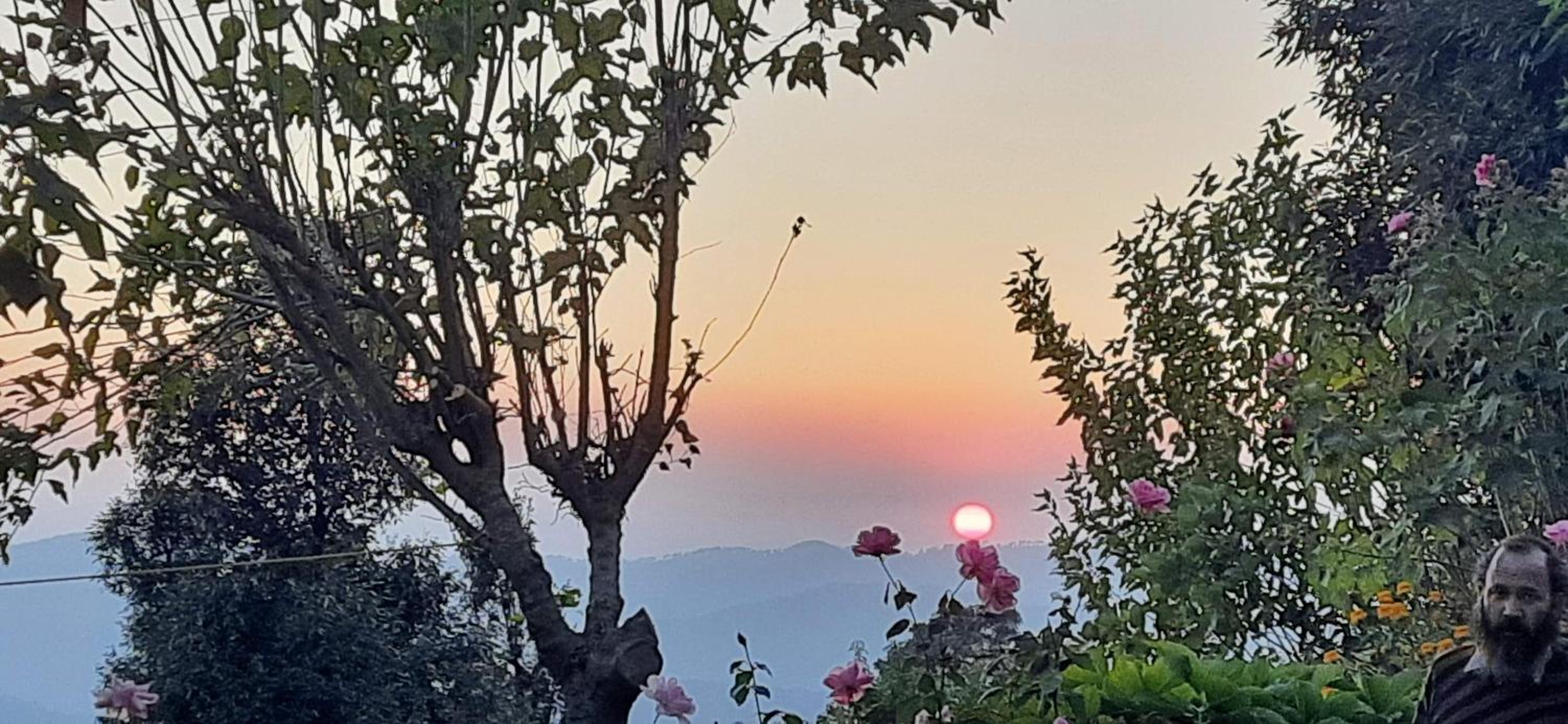 Maa Anand Mayee Guest House view 5