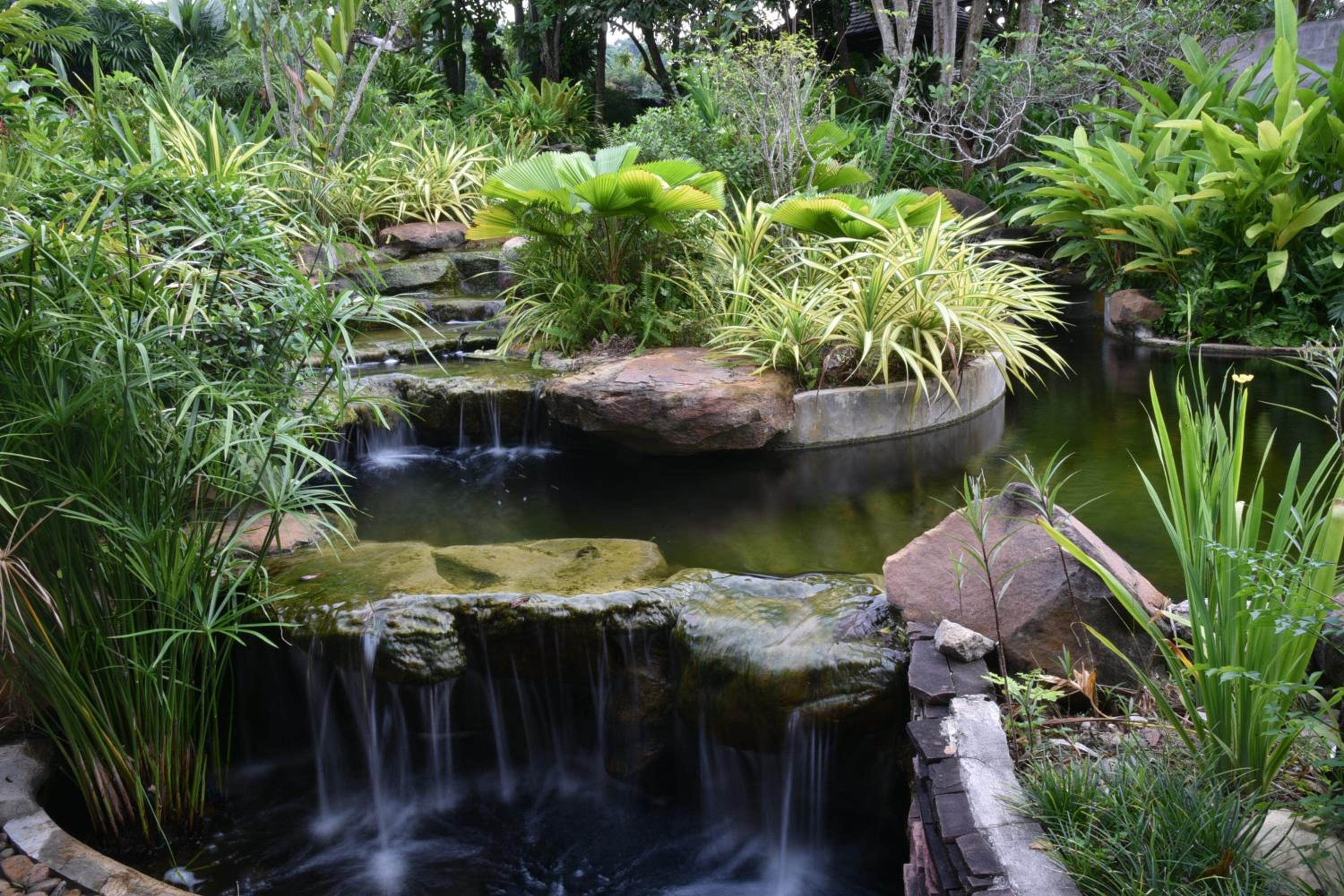Photo 15