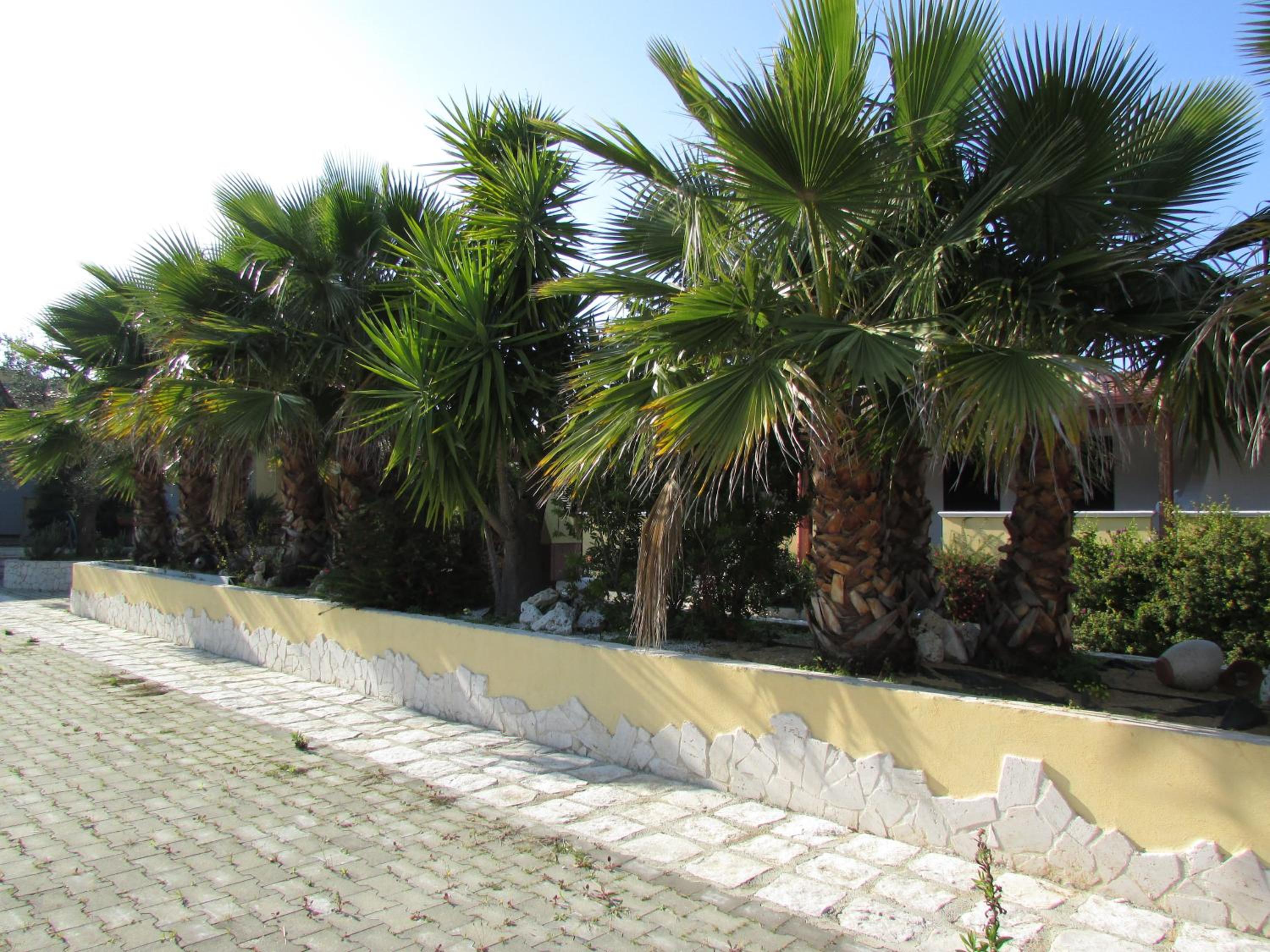 Photo 50