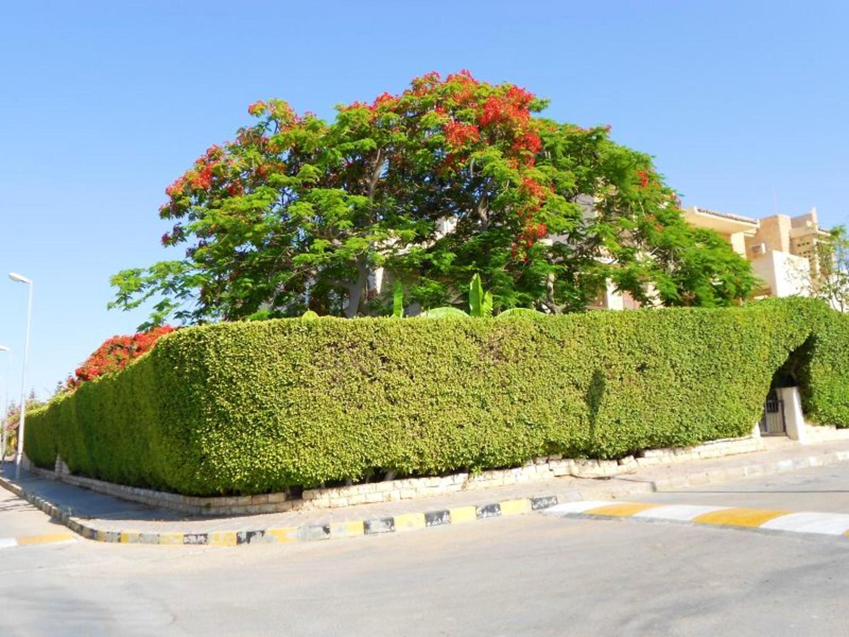 Charming house near Markaz Al Alamein with shared pool.