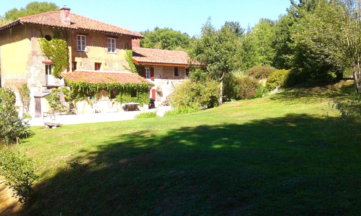 Photo 8