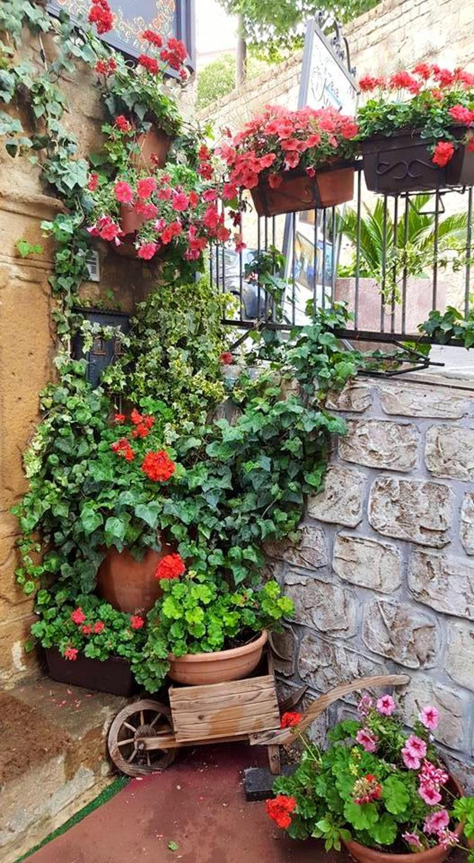 Charming Studio in Piazza Armerina 35 m² balcony with view view 2