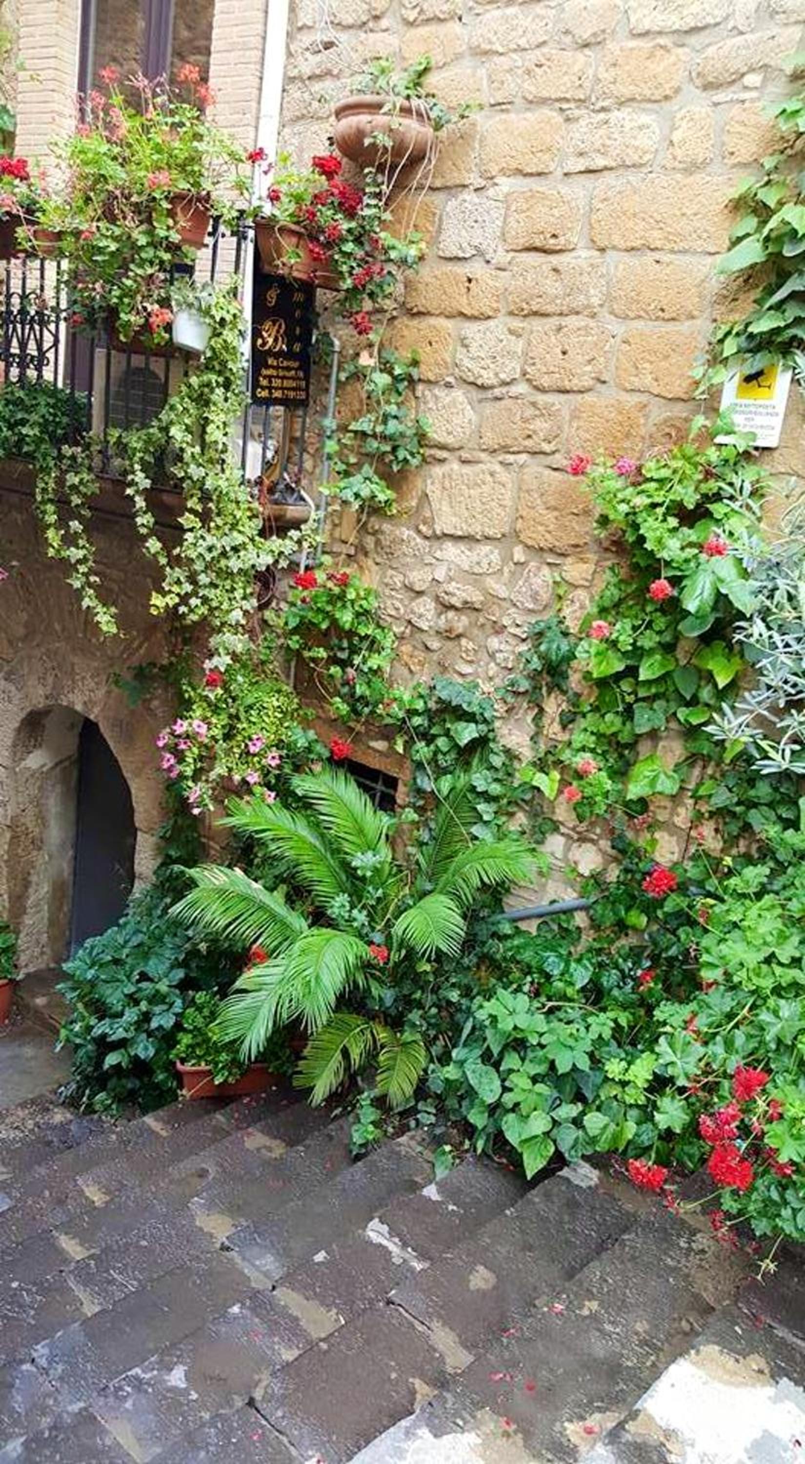 Charming Studio in Piazza Armerina 35 m² balcony with view view 3