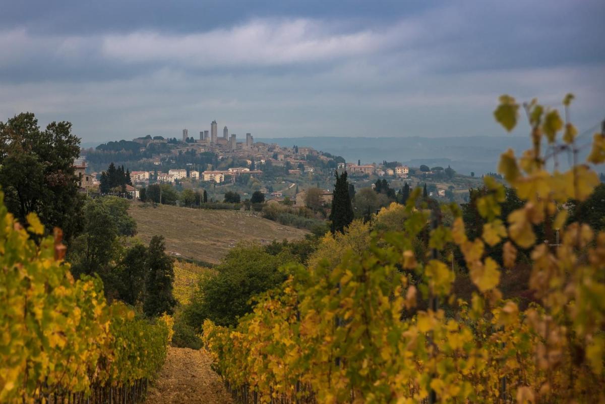 12 bedrooms mansion with city view private pool and enclosed garden at Cortona
