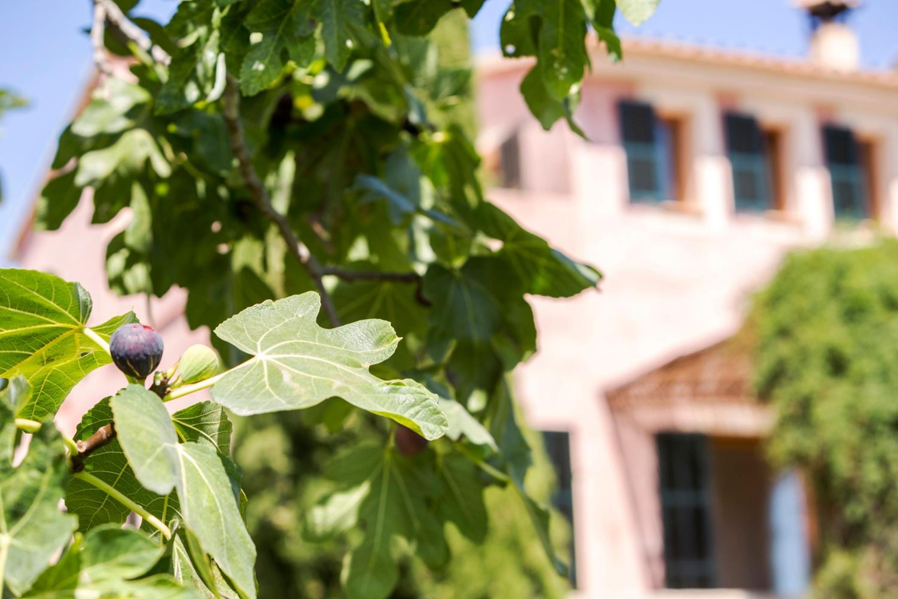 Spacious villa in Sant Llorenç, 230 m², private pool, sea view view 5