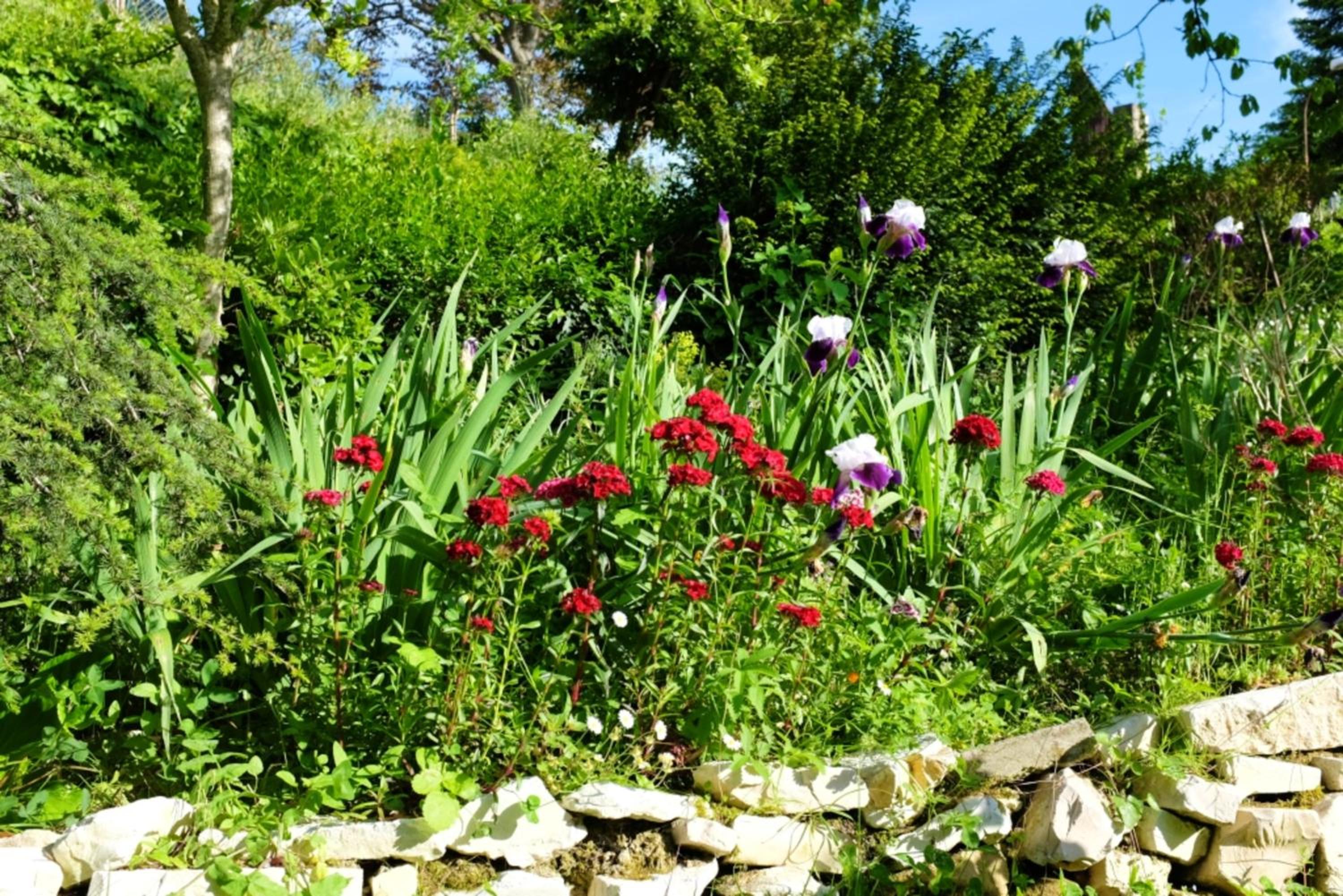 Photo 7