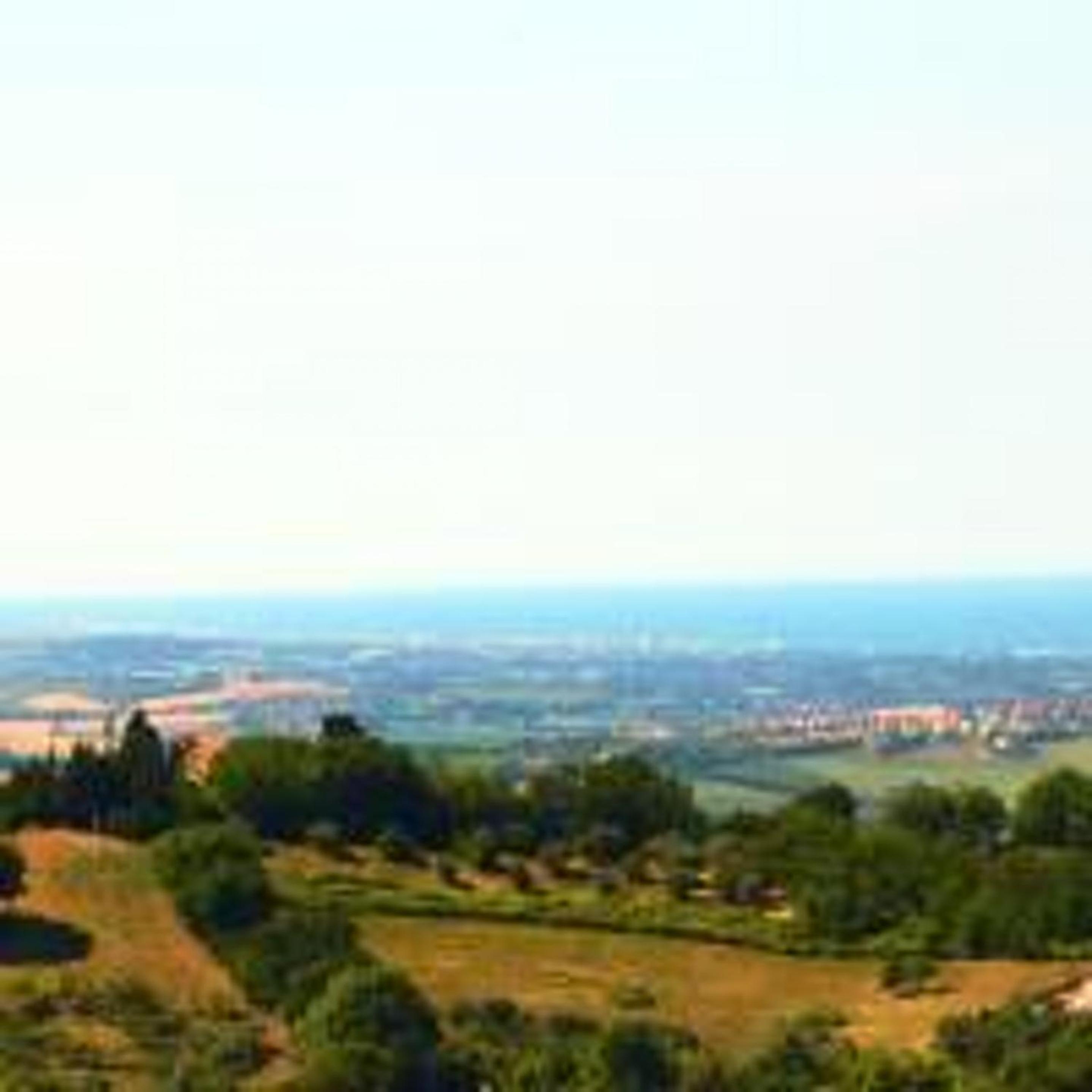 Photo 48