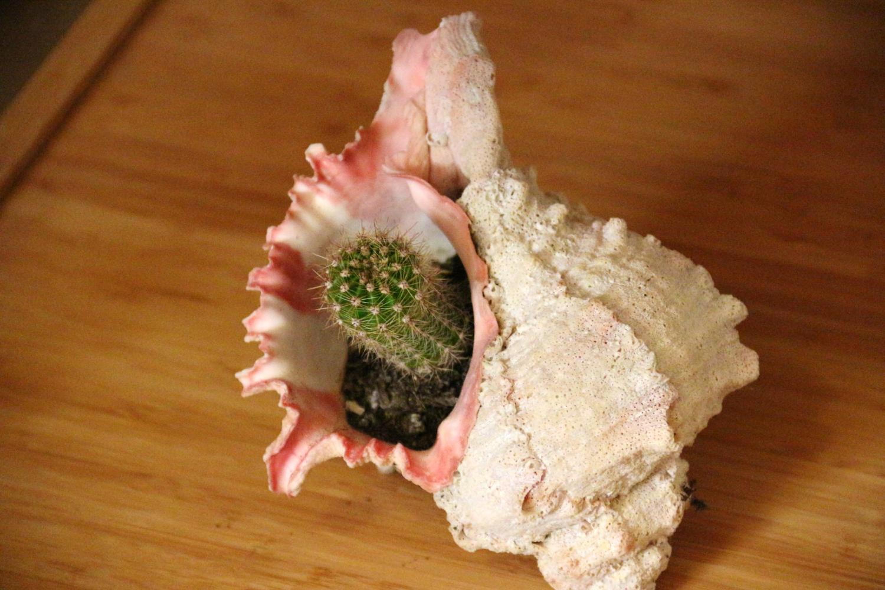 Photo 49
