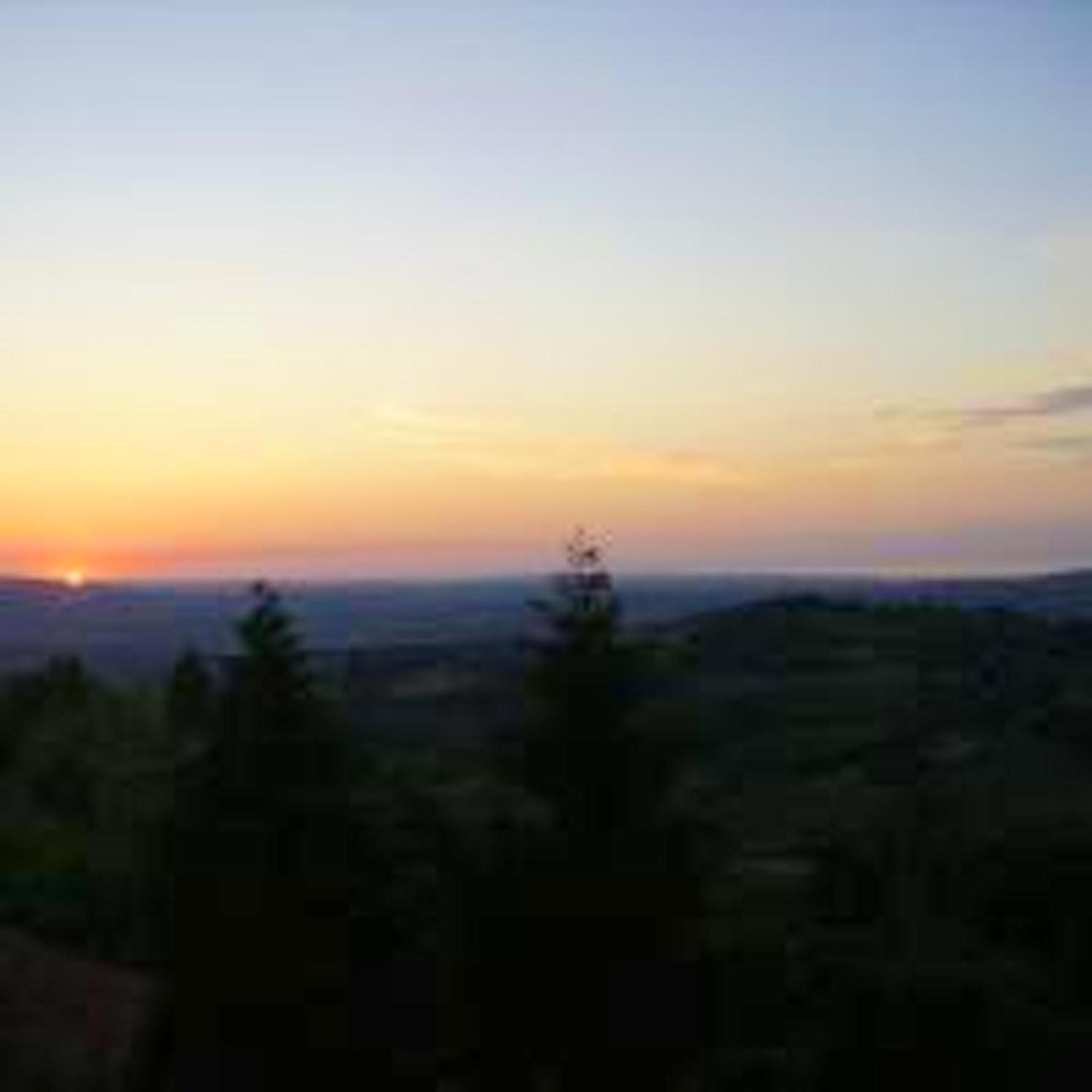 Photo 54