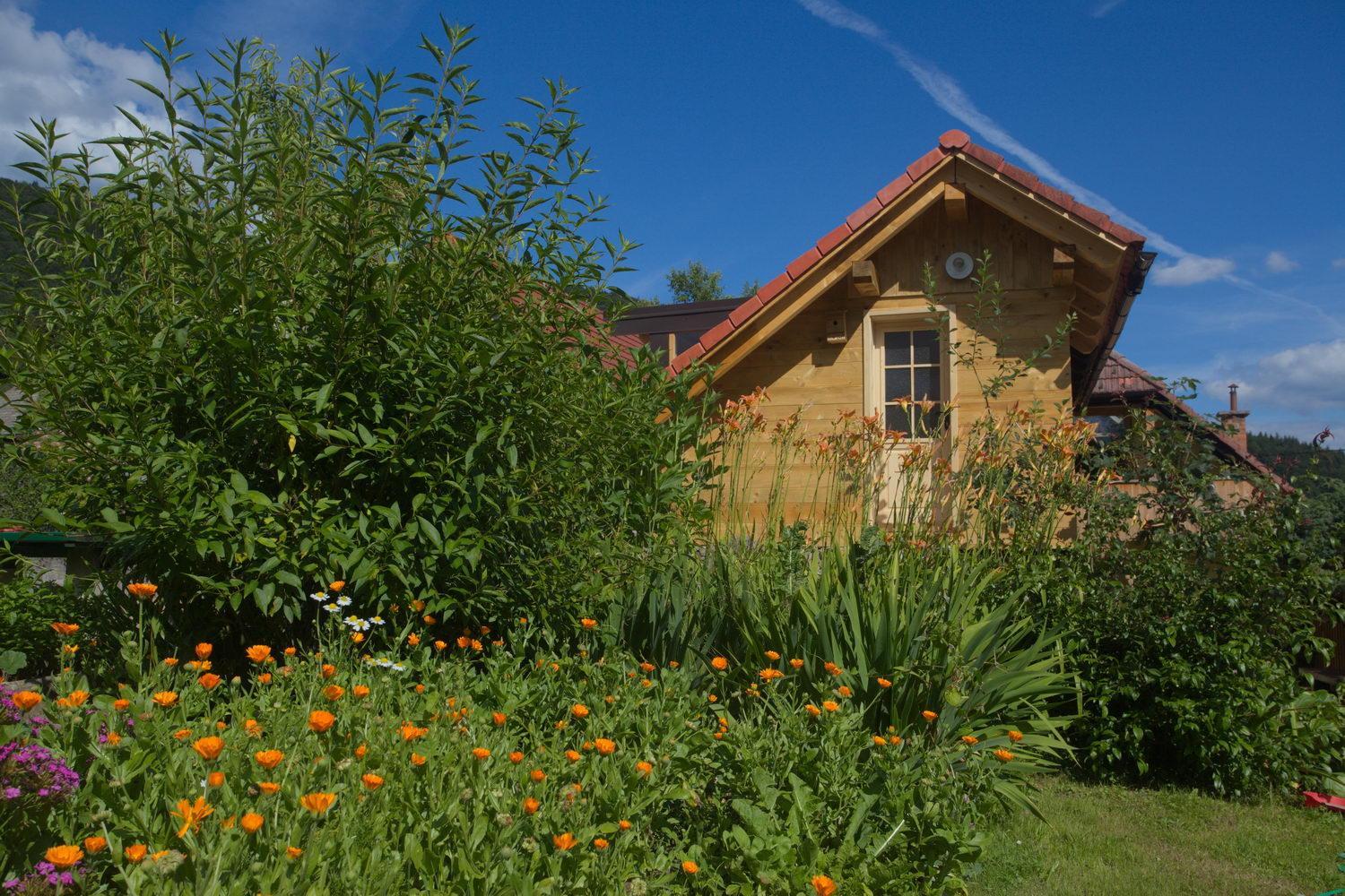 Photo 11