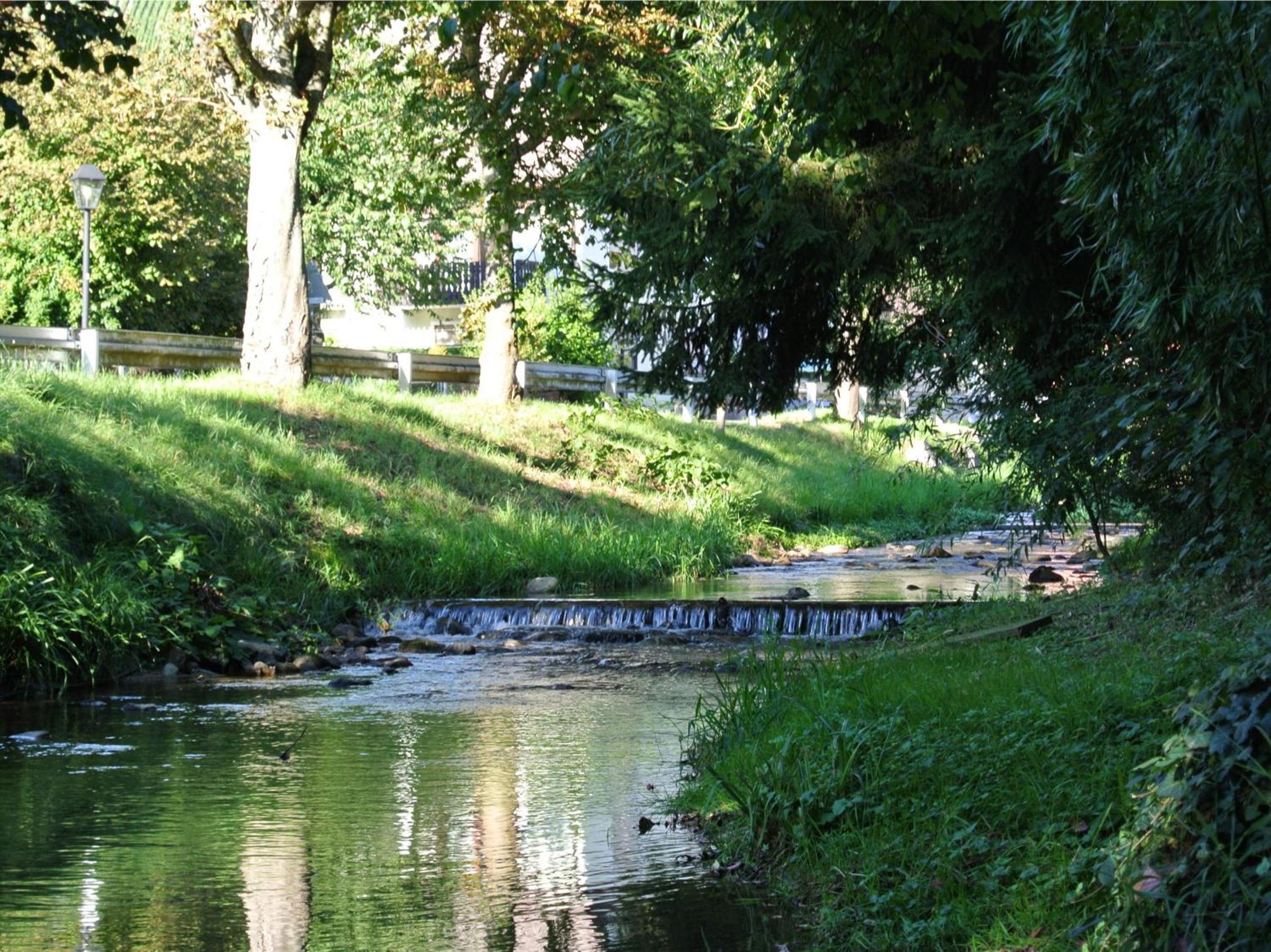 Photo 28