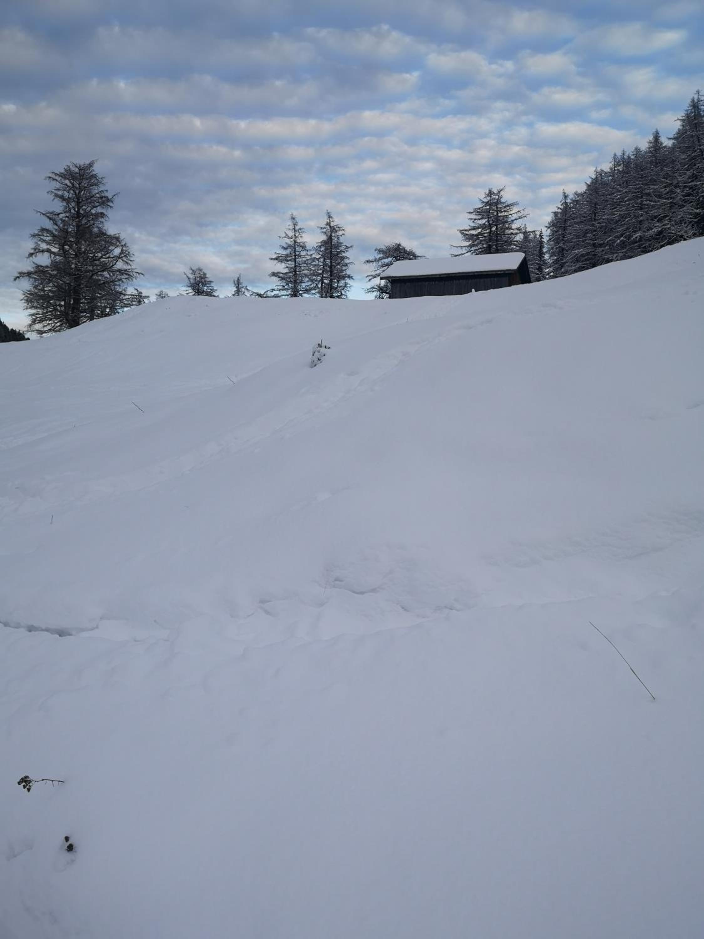 Le cocon du Catogne proche Martigny Verbier - Netflix -