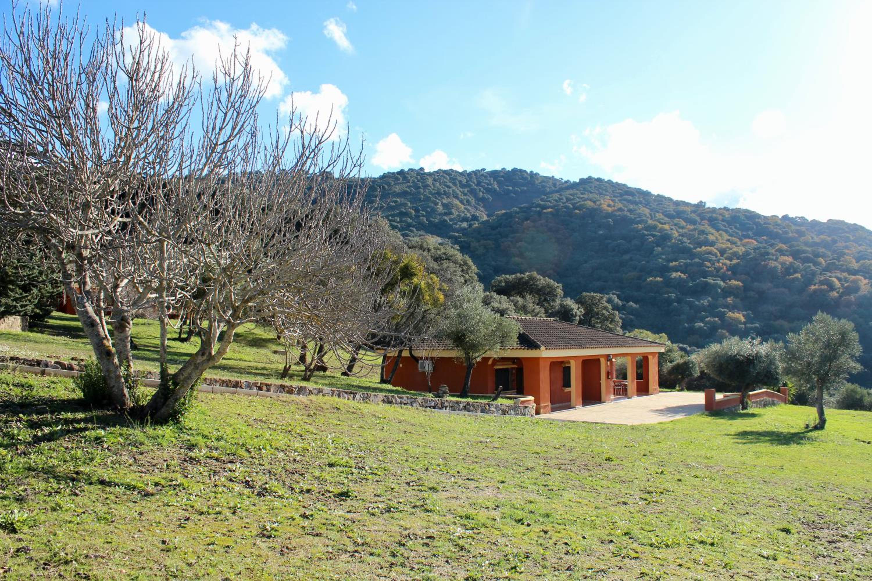 Apartamentos Cedro Alto view 2