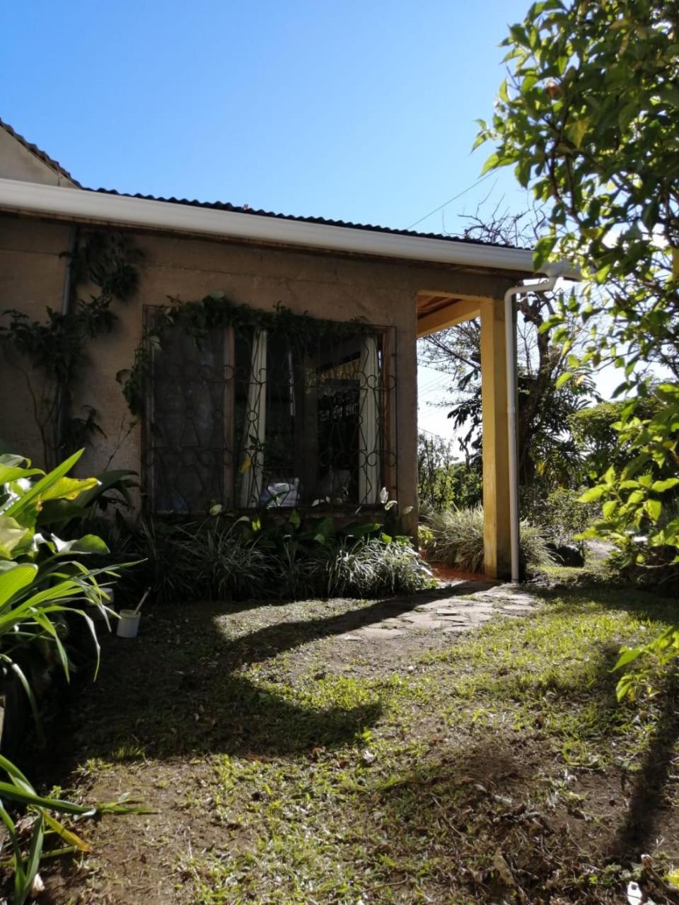 Photo 40