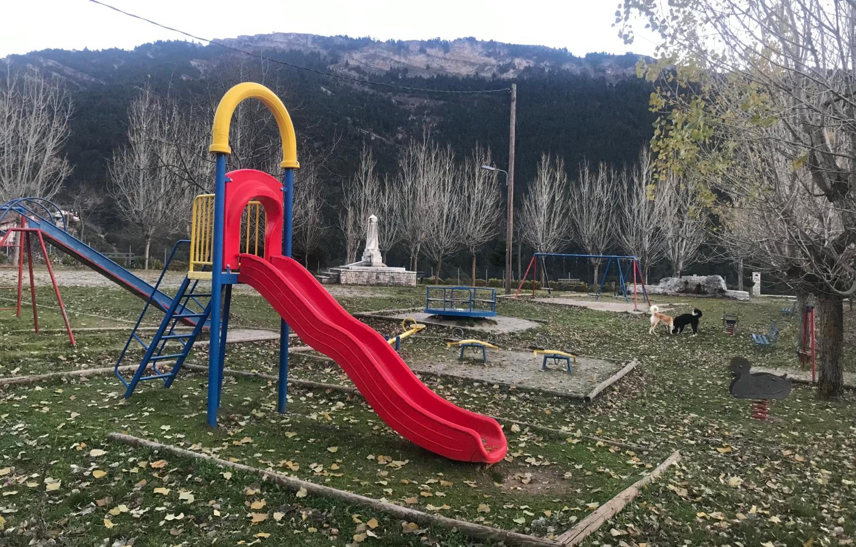 Photo 15