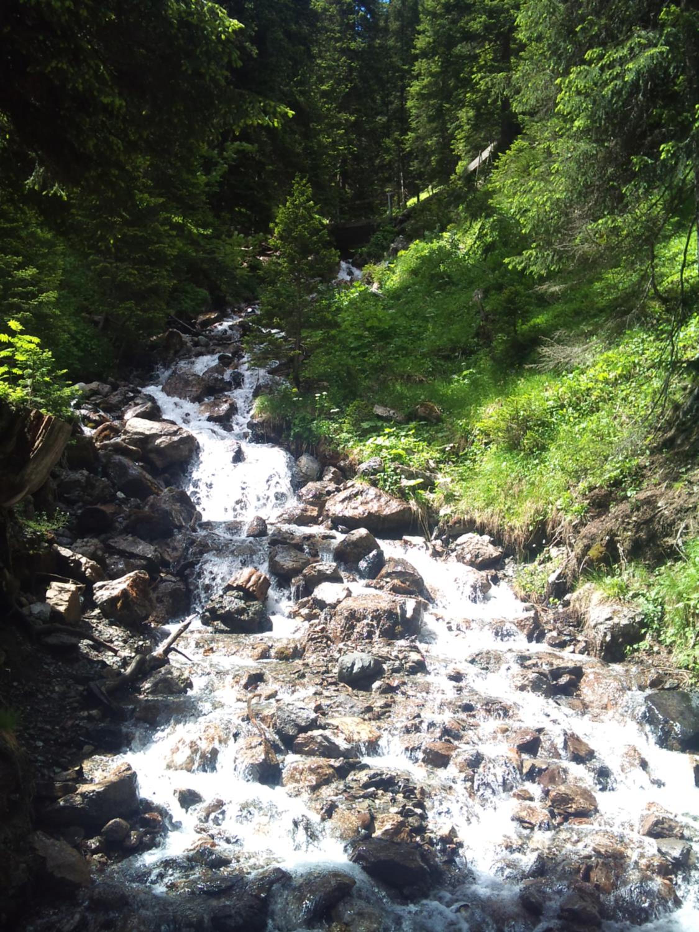 Chalet Waldperle view 5