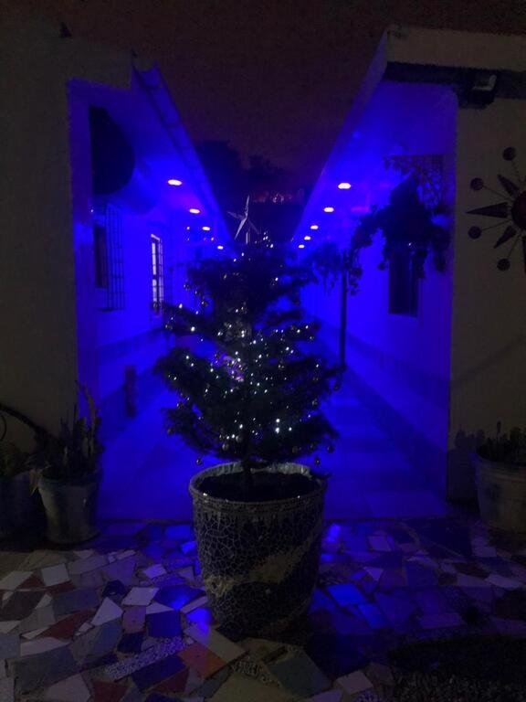 Photo 16