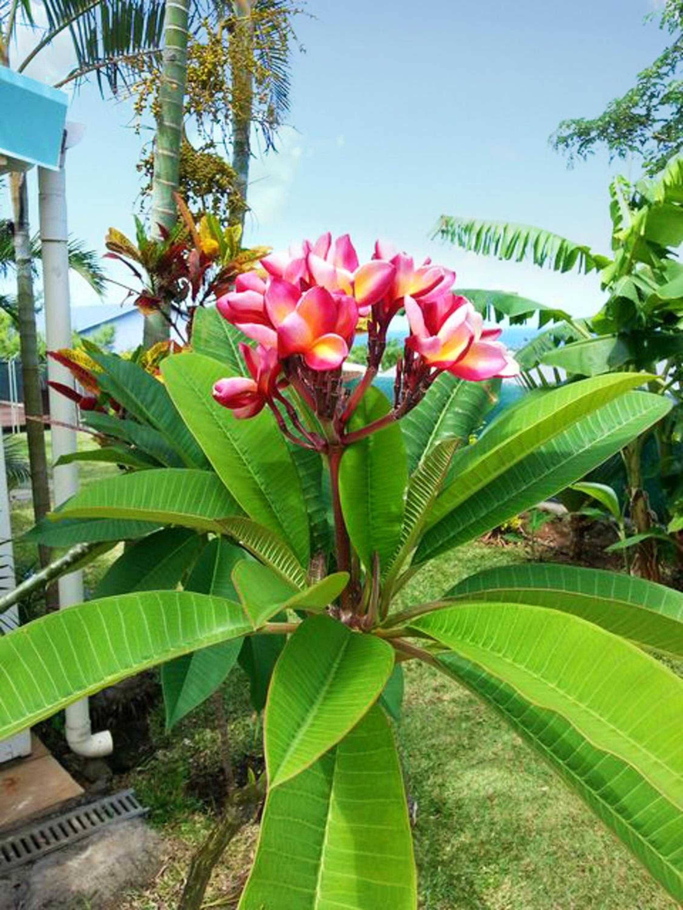 other