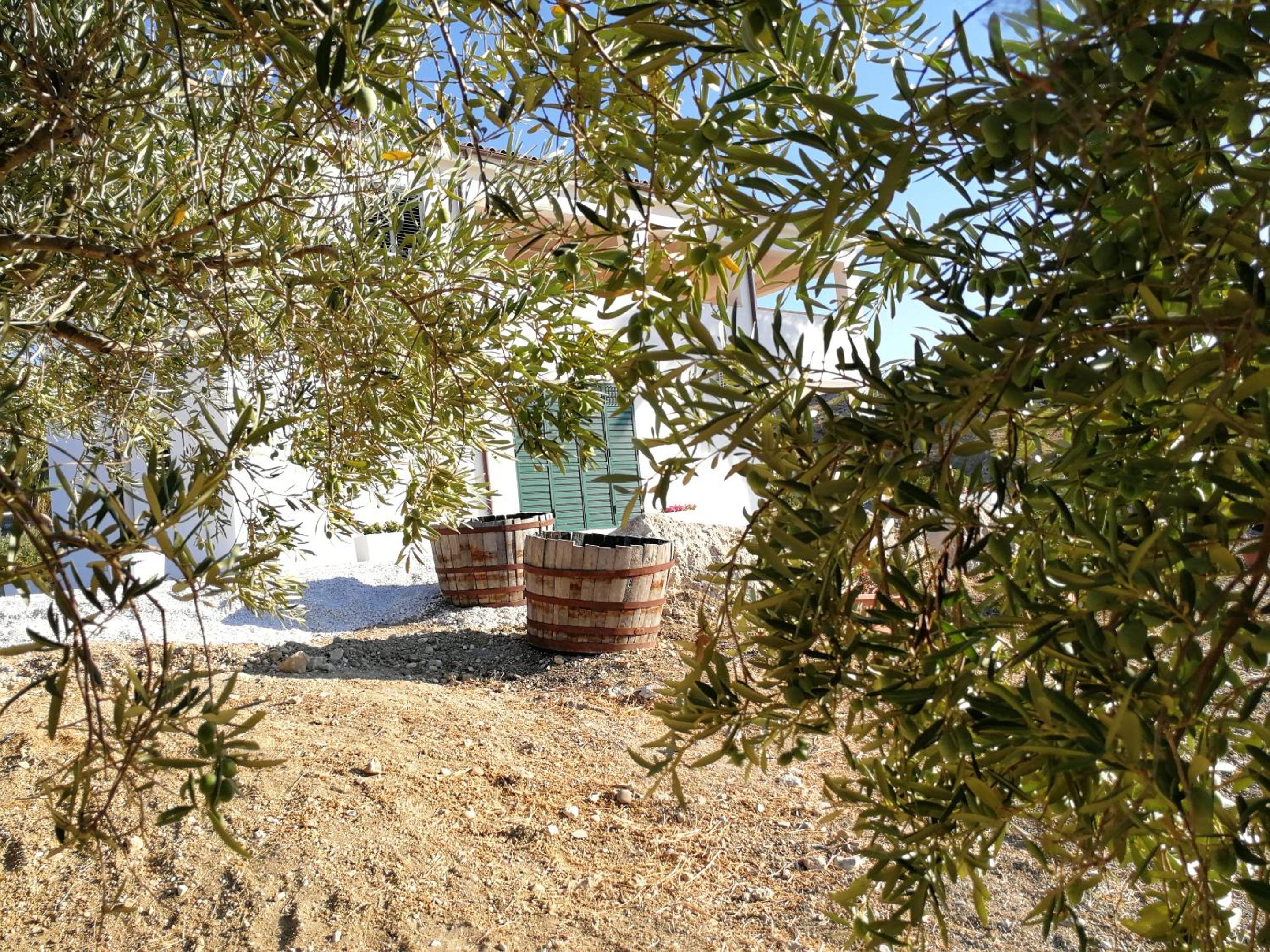 Charming apartment in Montallegro with sea view