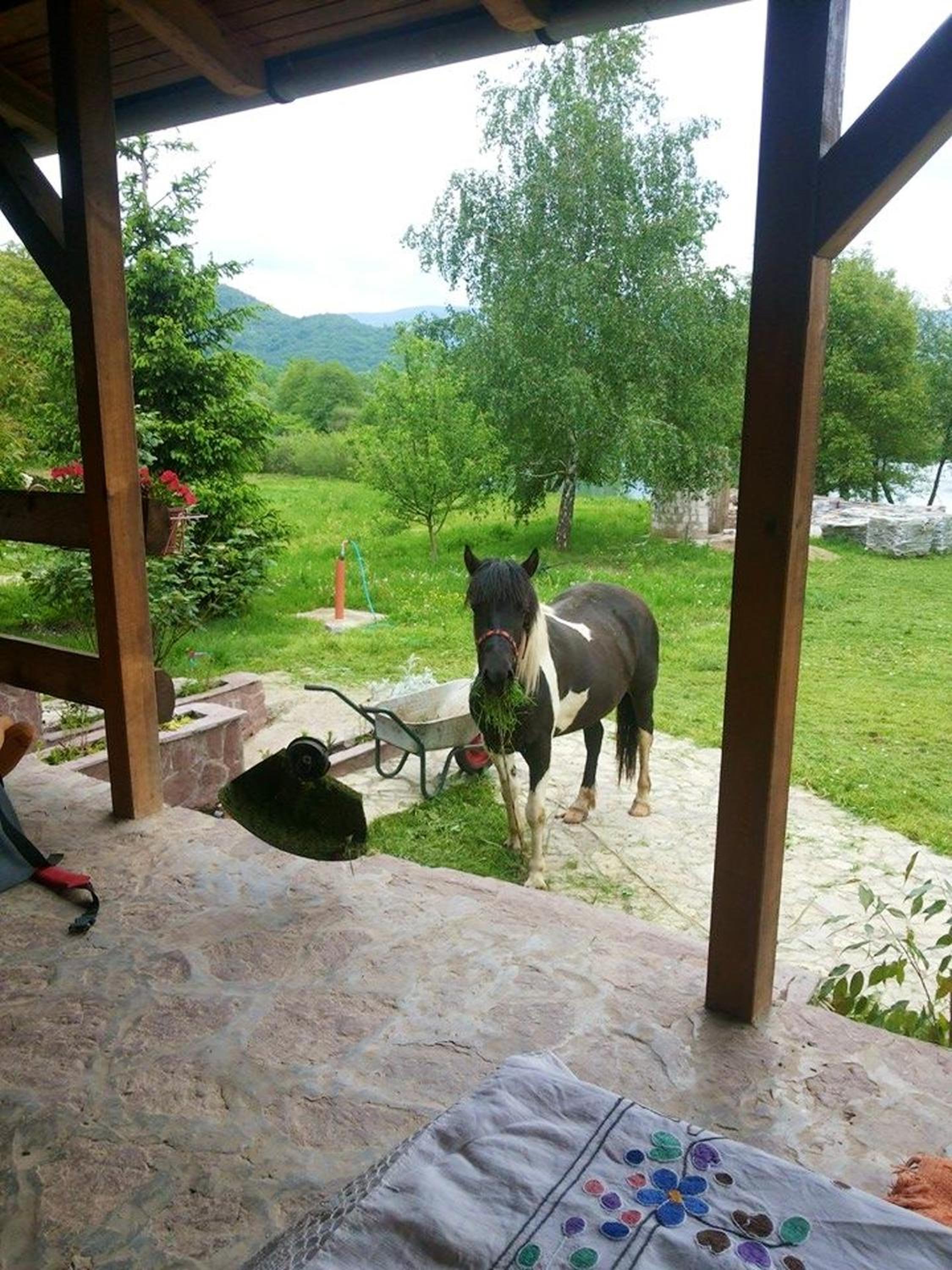 Charming House in Lohovo + Terrace