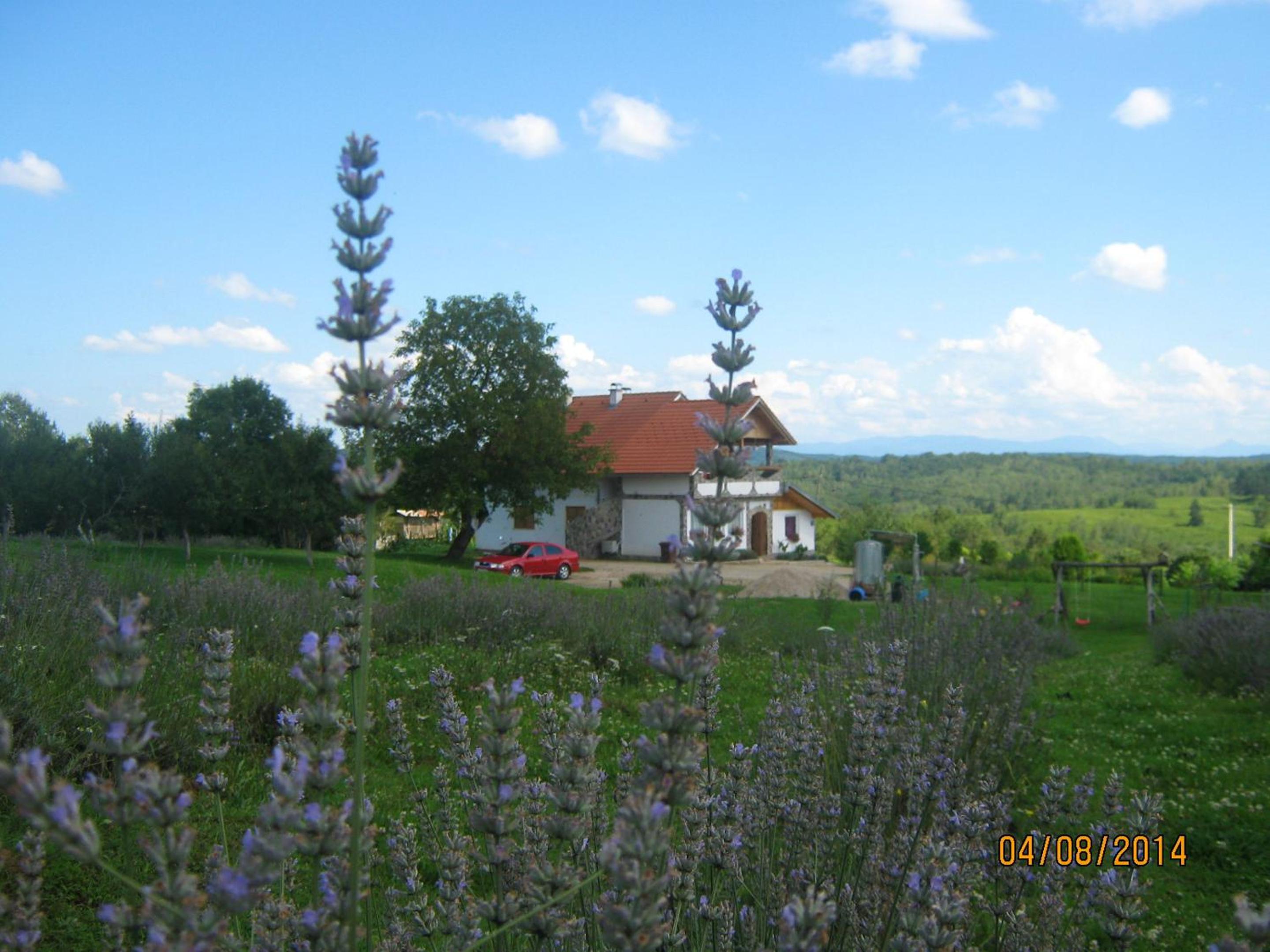 Photo 30
