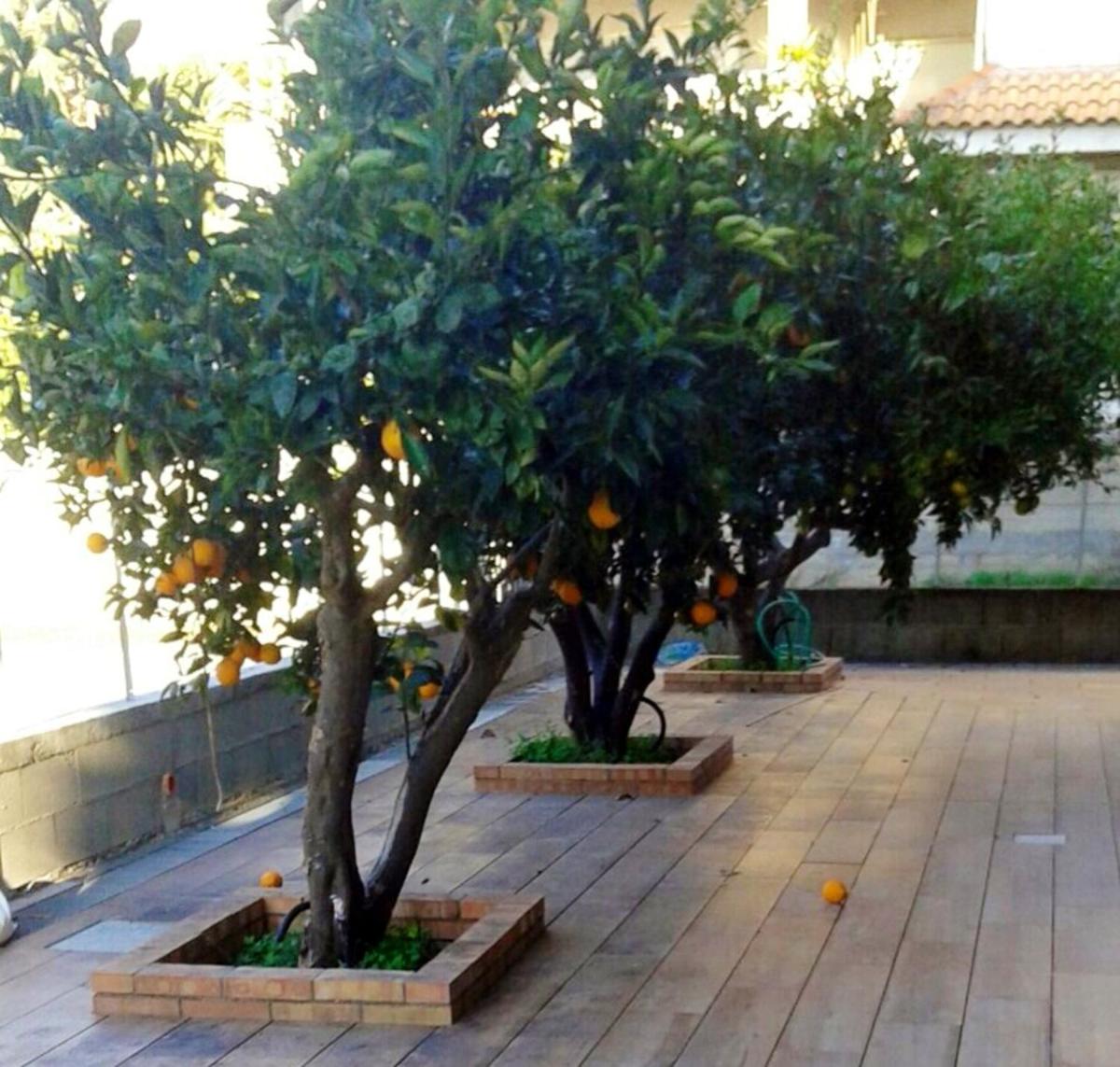 3 bedrooms appartement at Marina di Gioiosa Ionica 700 m away from the beach with furnished terrace