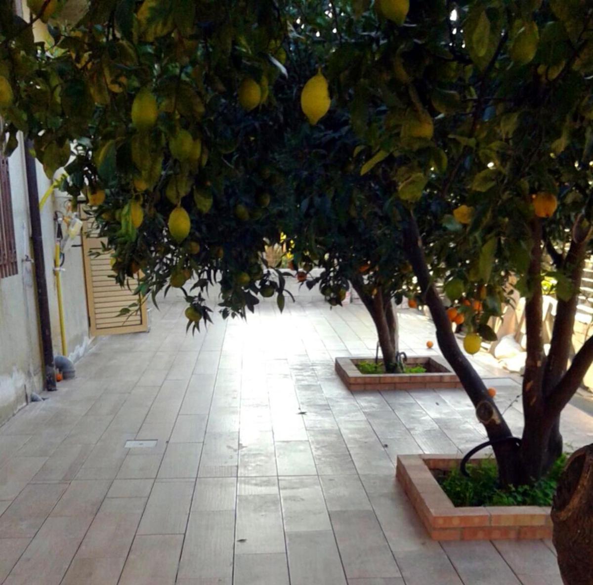 3 bedrooms appartement at Marina di Gioiosa Ionica 700 m away from the beach with furnished terrace