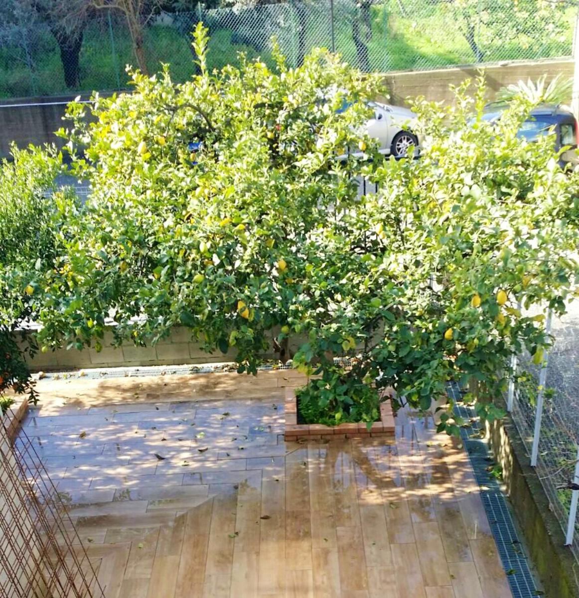 3 bedrooms appartement at Marina di Gioiosa Ionica 700 m away from the beach with furnished terrace