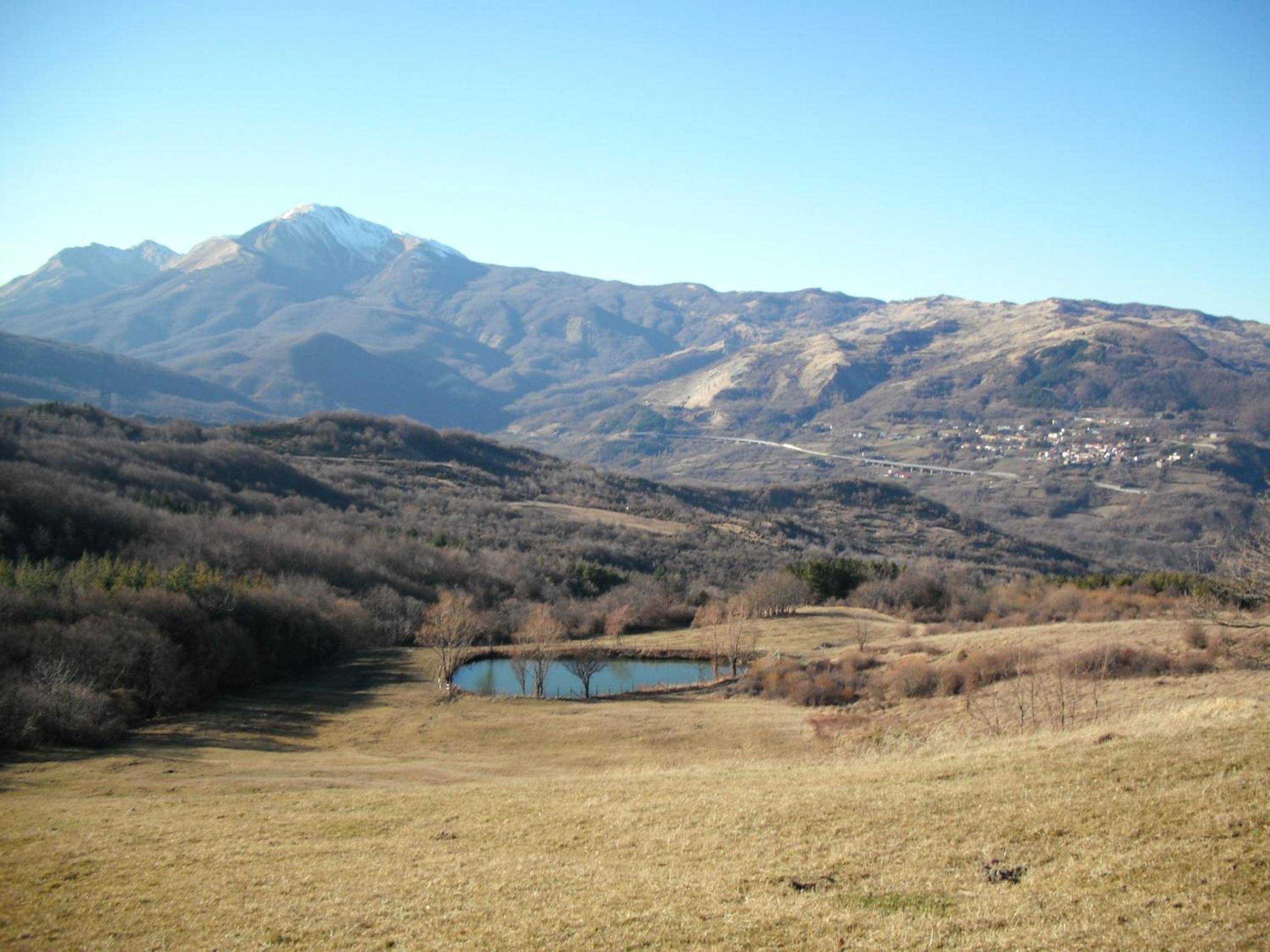 Photo 18