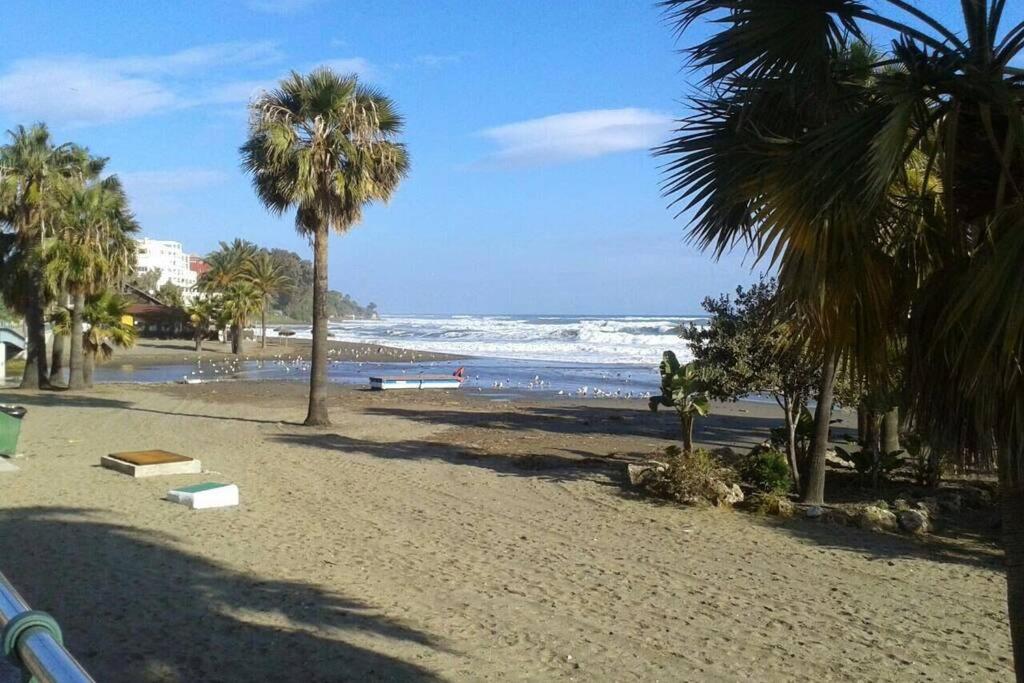 Playa Escollera view 5