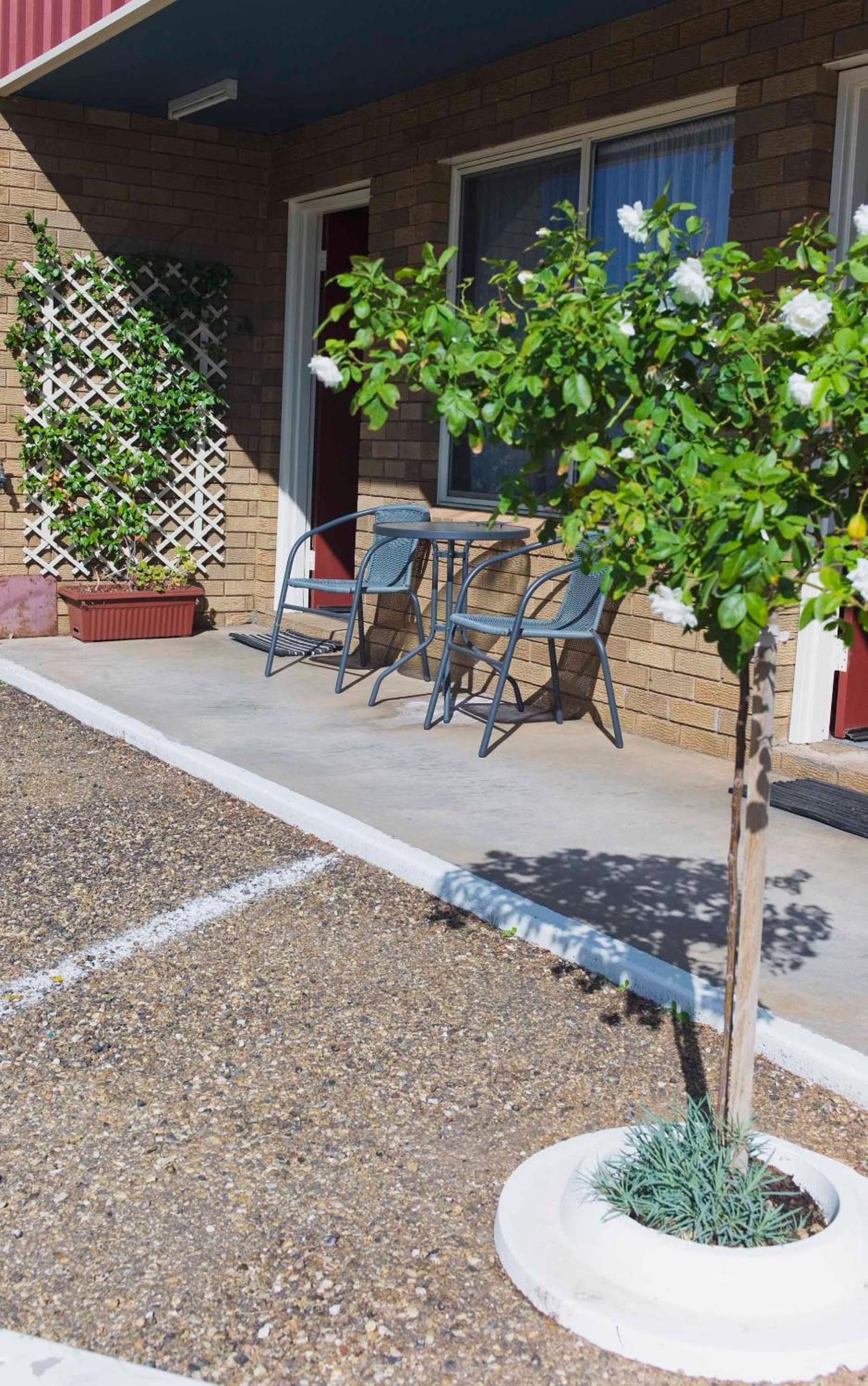 Camellia Motel