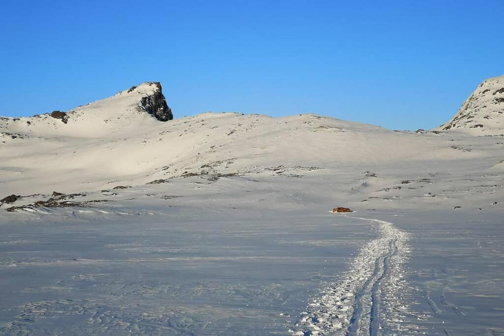 Akselhuset-Koselig hus rett ovenfor kaikanten midt i Lofoten view 4