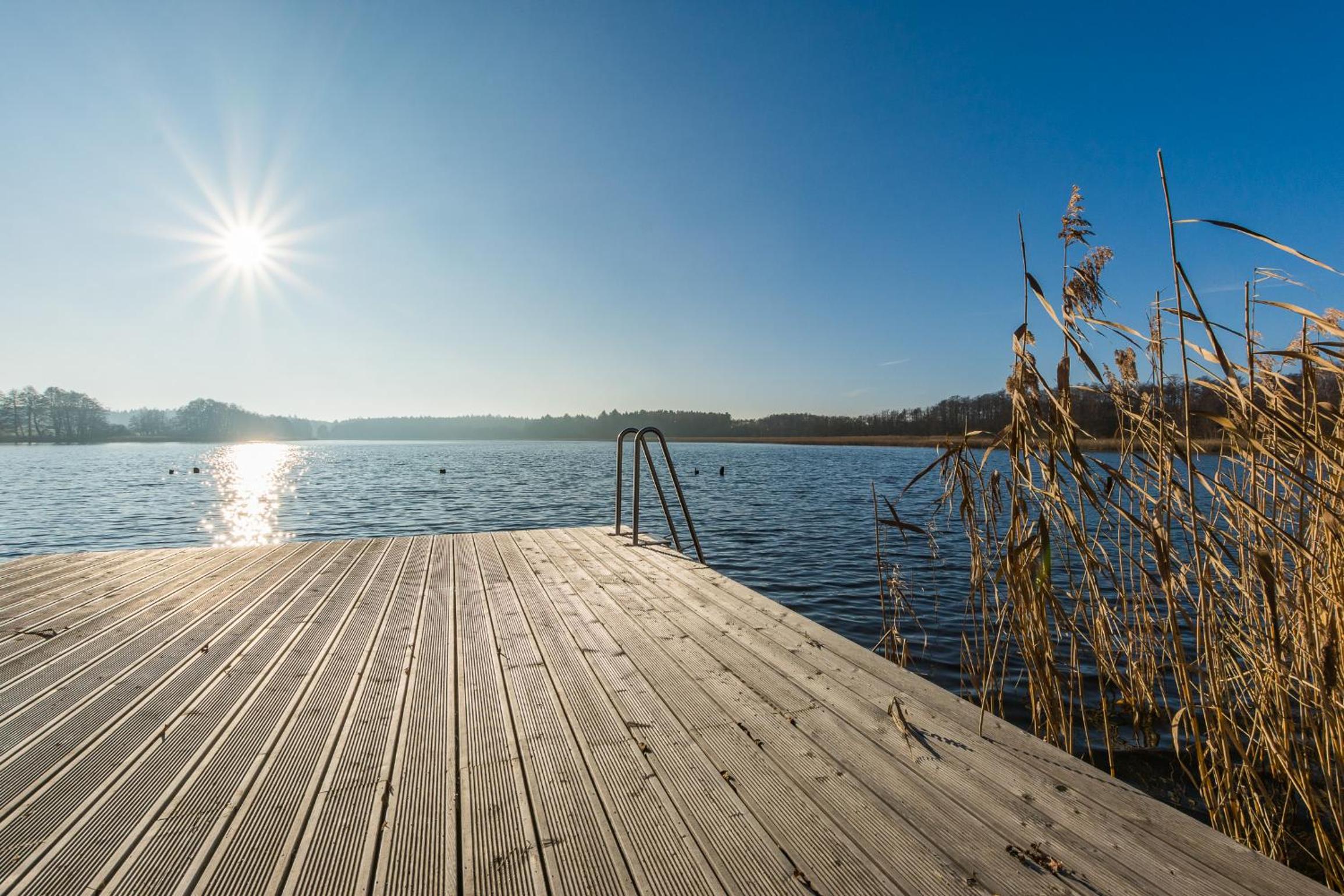 Ferienhaus-See-Sauna-Kamin-Hund mit E-Ladestation