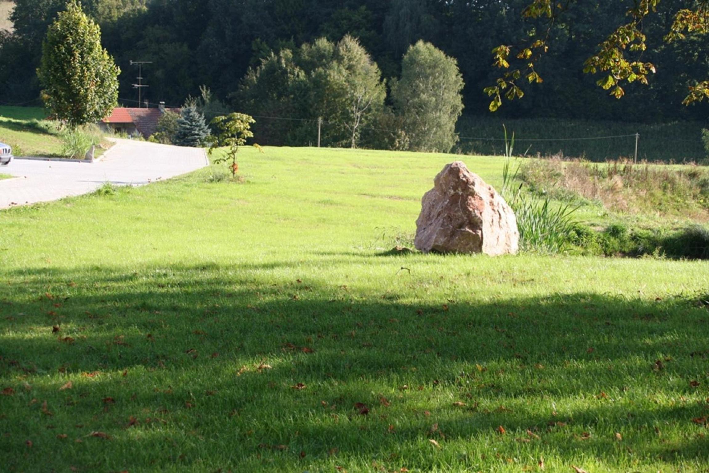 Photo 26