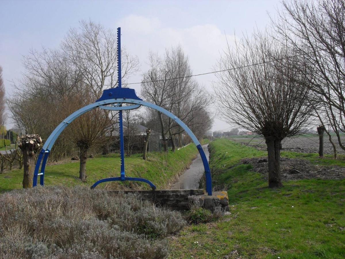 Photo 41